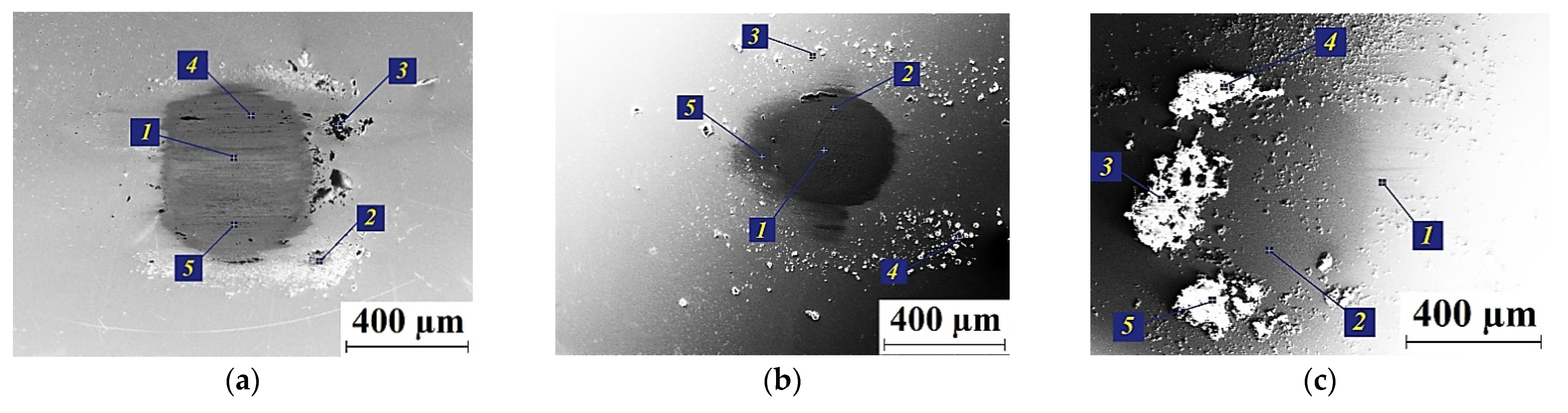 Polymers 13 02837 g008 550