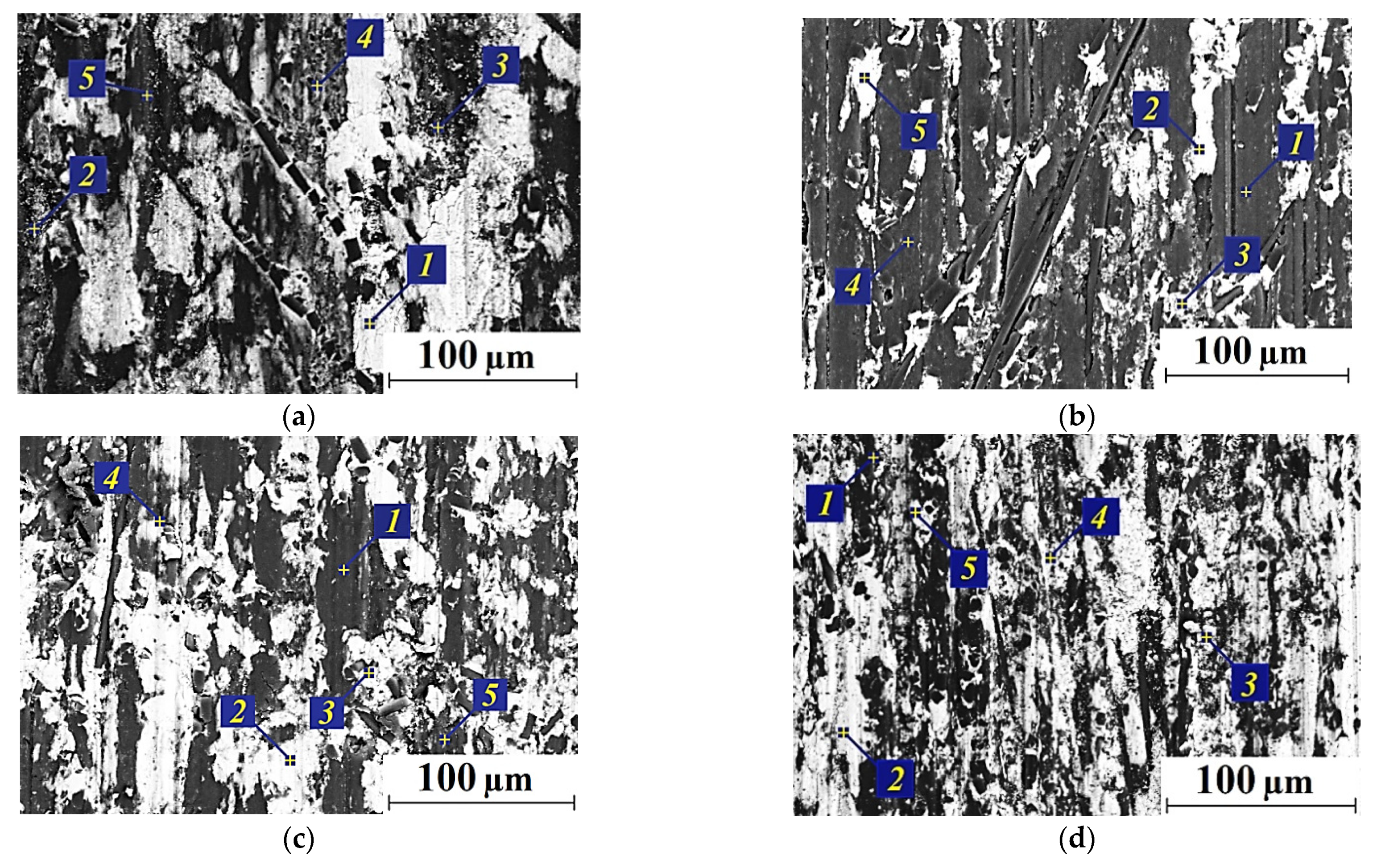 Polymers 13 02837 g012 550