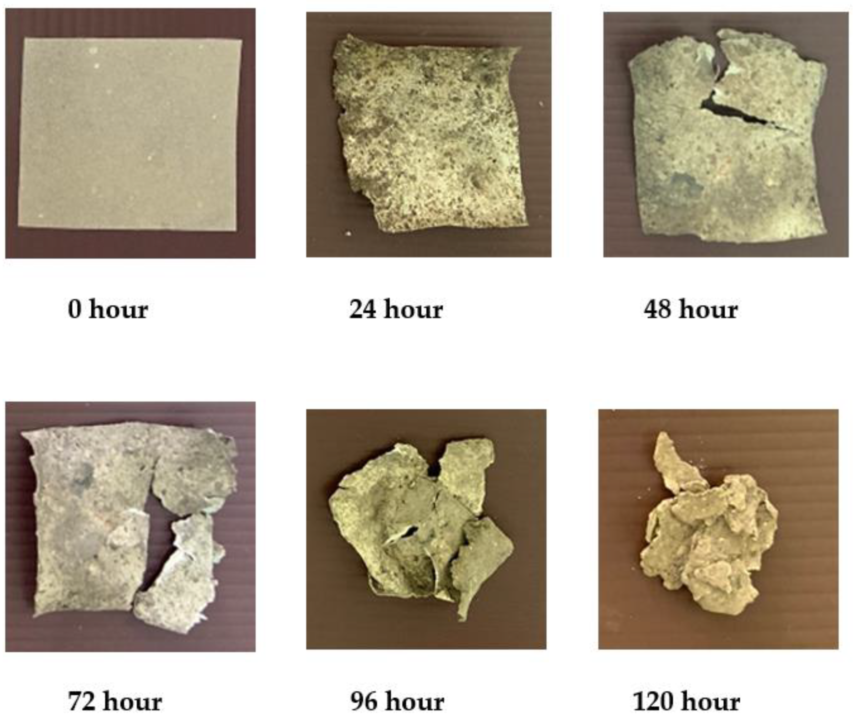 Polymers 13 02838 g007