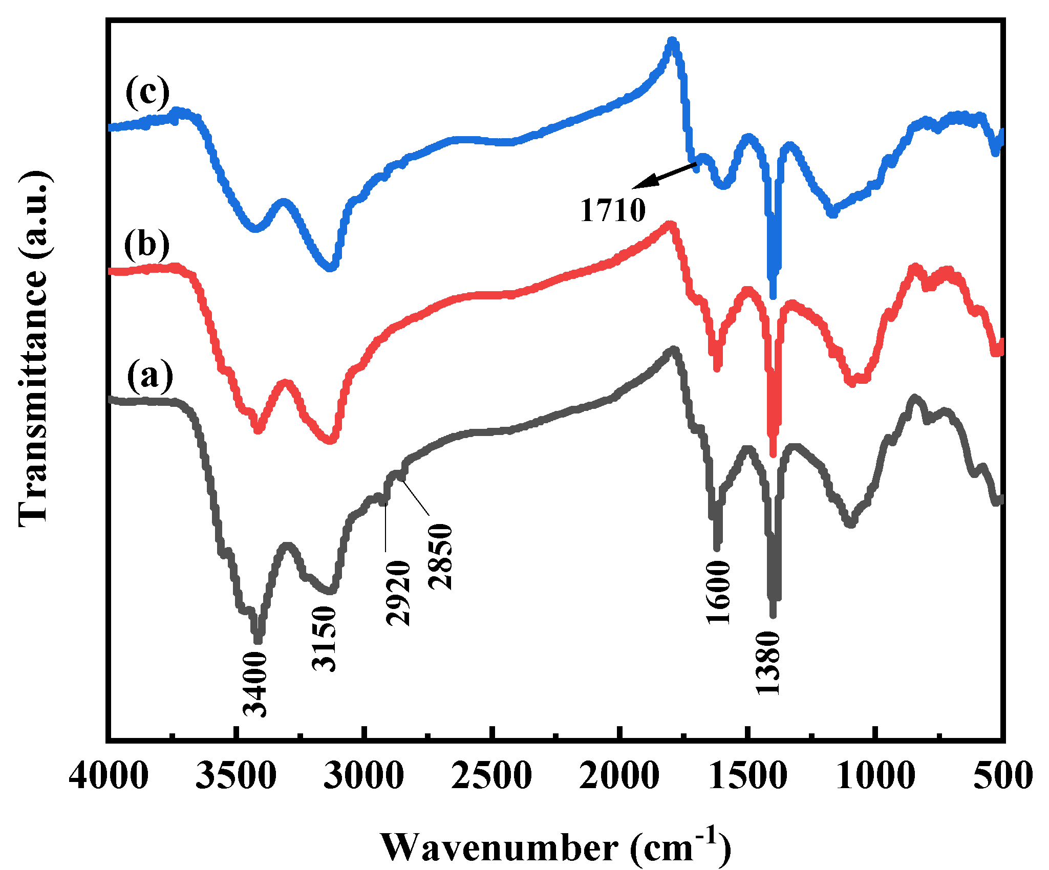 Polymers 13 02844 g001