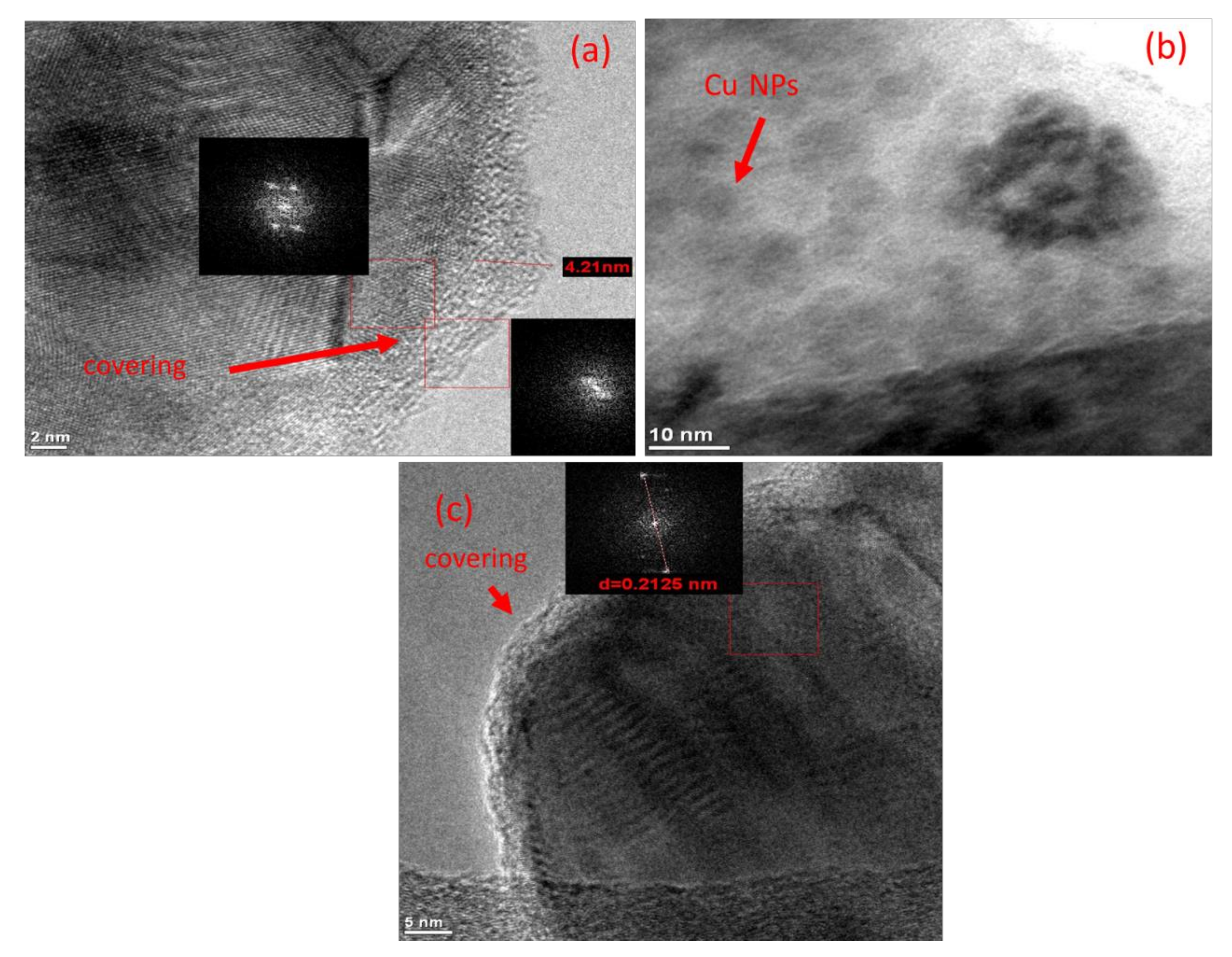 Polymers 13 02846 g004 550