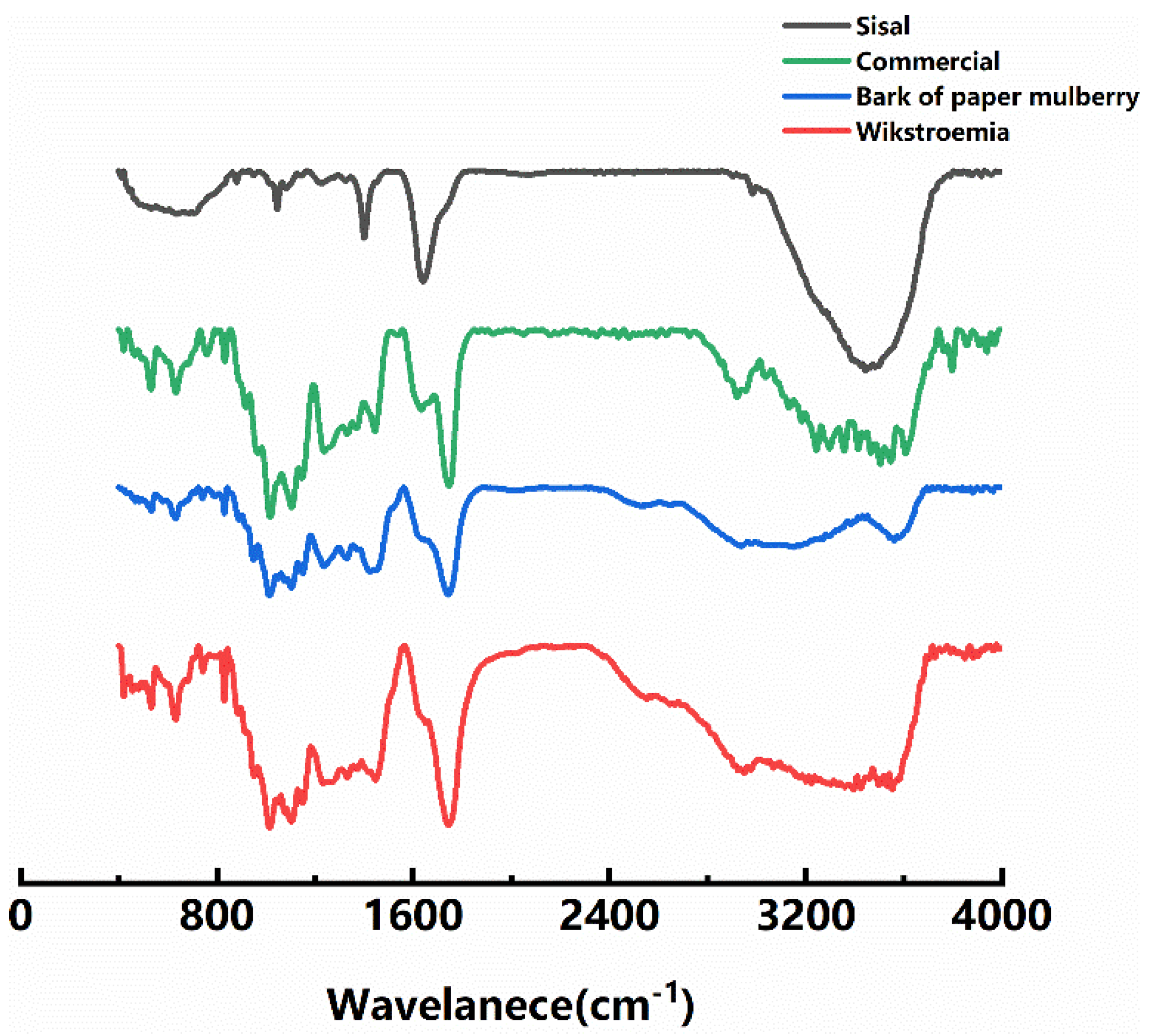 Polymers 13 02847 g001