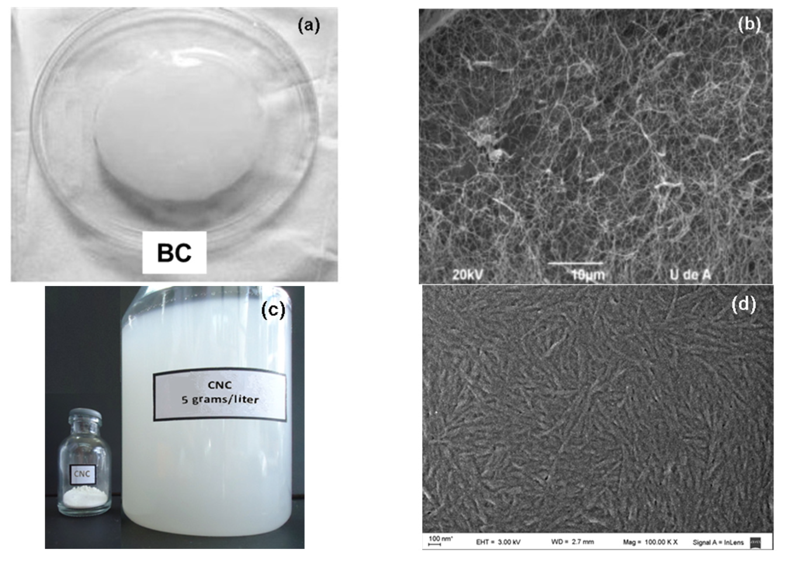 Polymers 13 02853 g002 Polymers 13 02853 g002