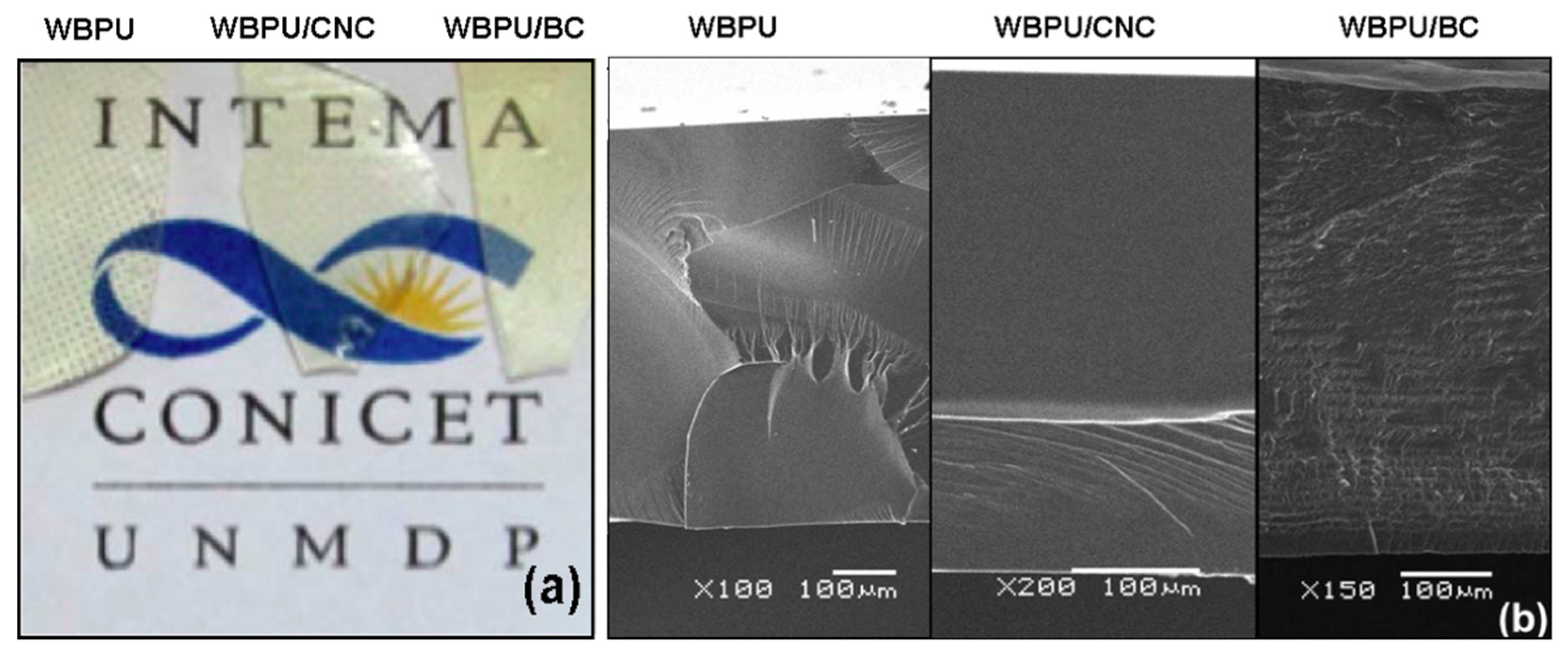 Polymers 13 02853 g005 Polymers 13 02853 g005
