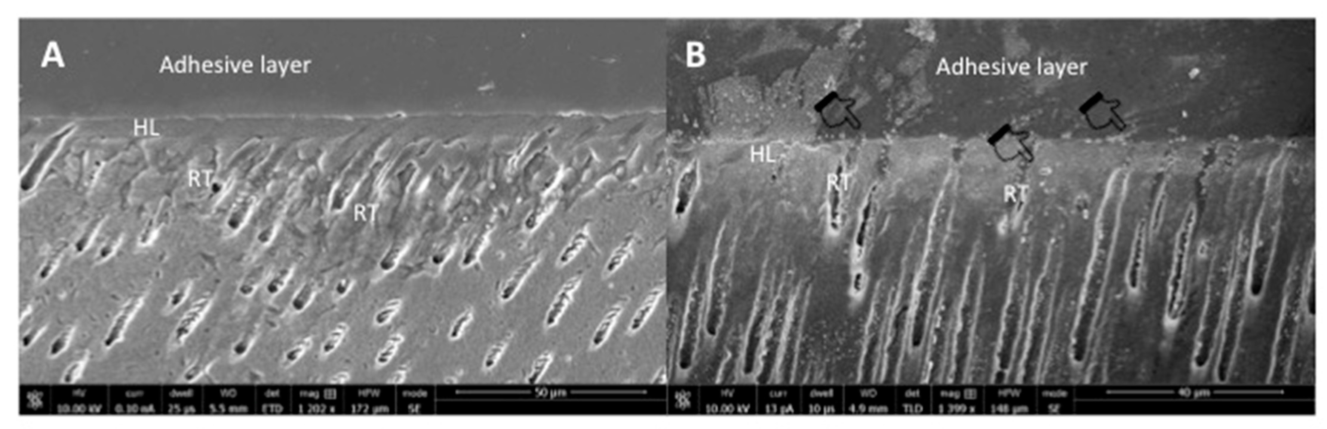 Polymers 13 02855 g003 Polymers 13 02855 g003