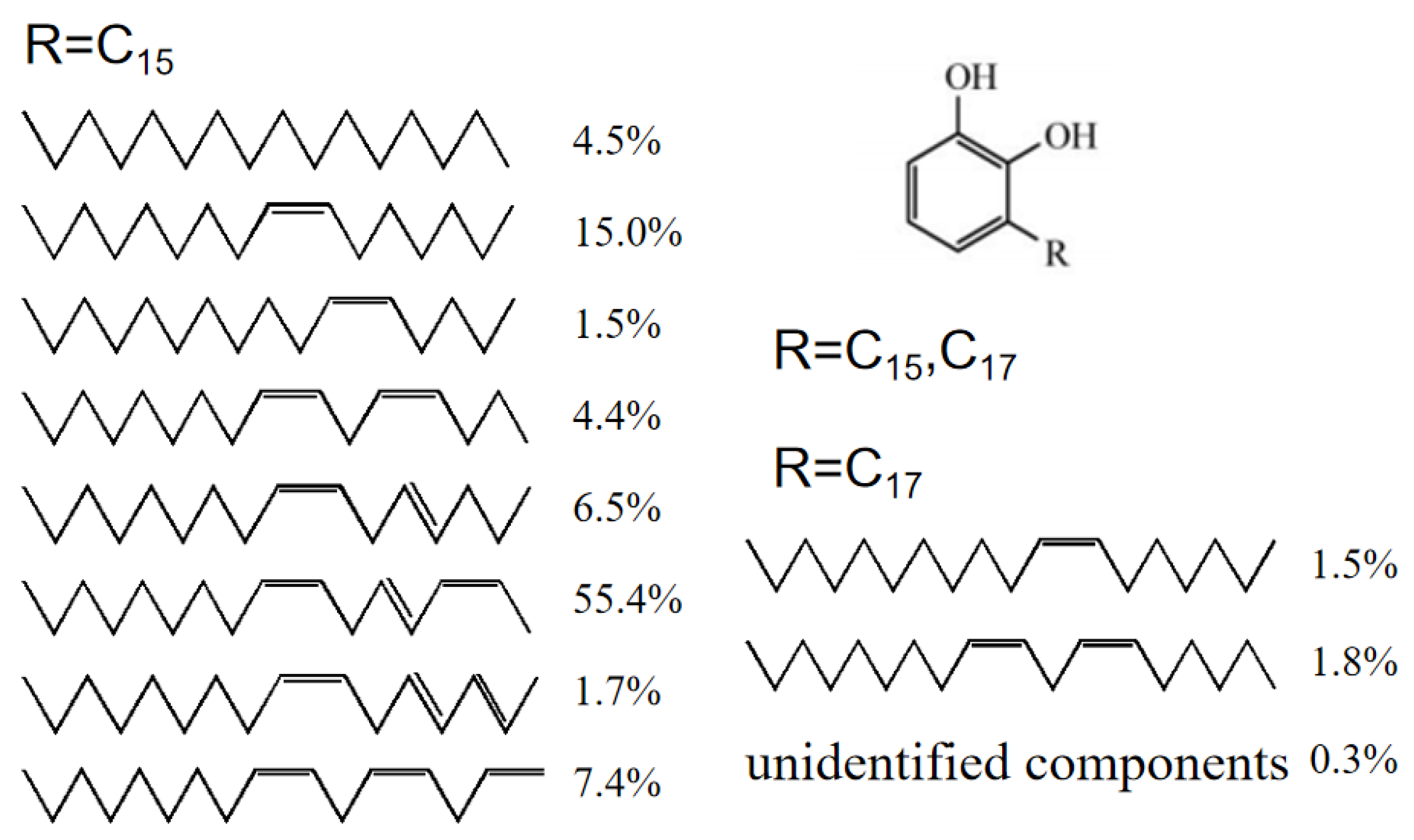 Polymers 13 02858 g001