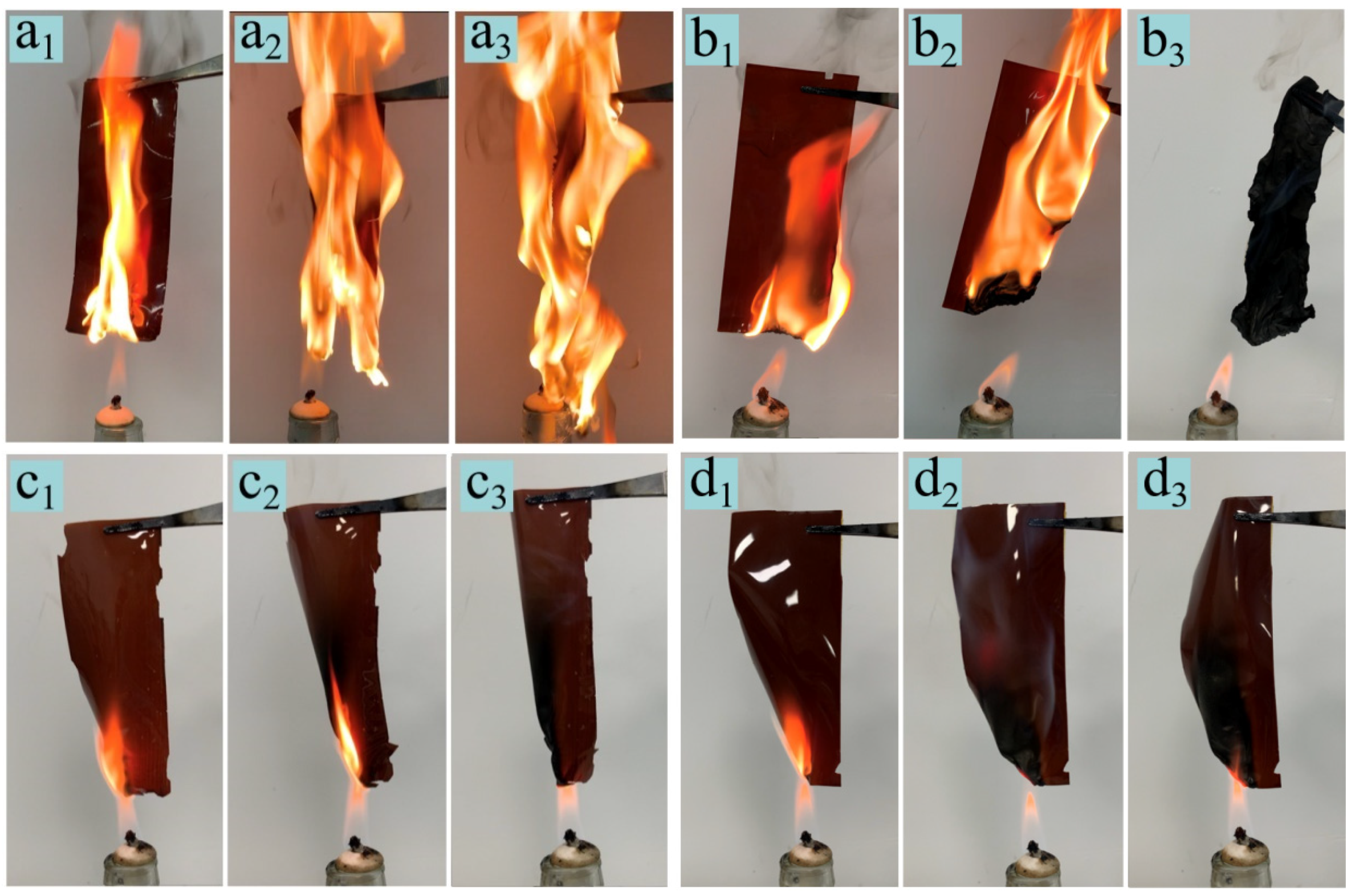 Polymers 13 02858 g004