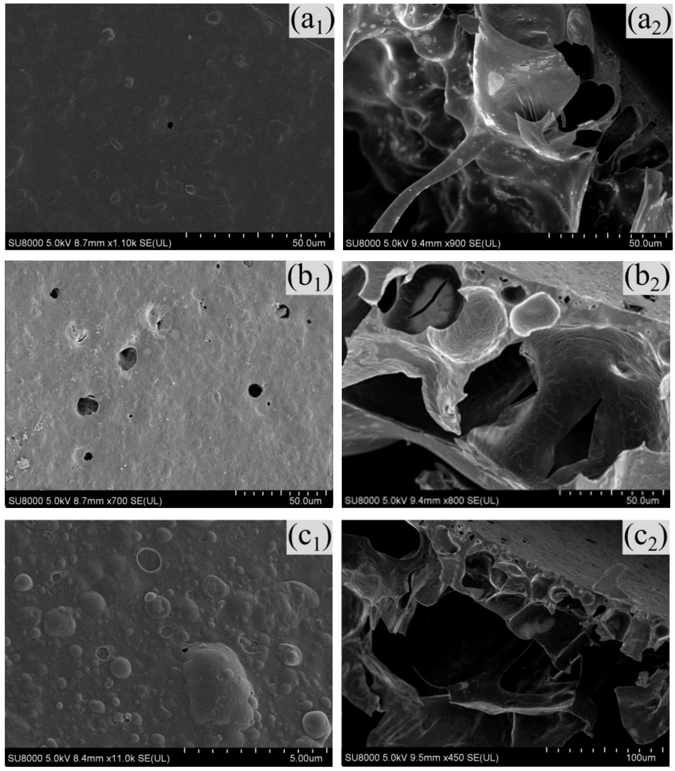 Polymers 13 02858 g006