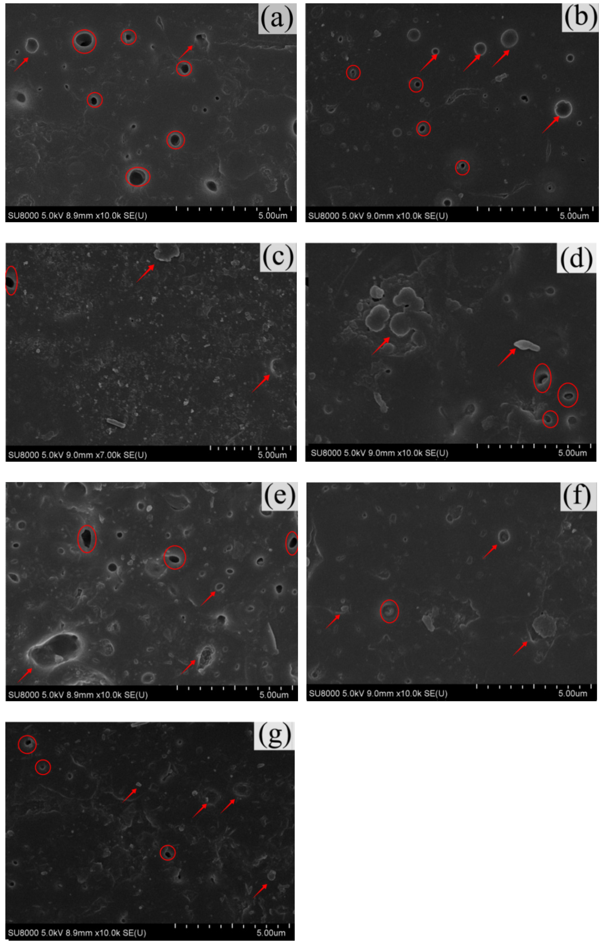 Polymers 13 02858 g007