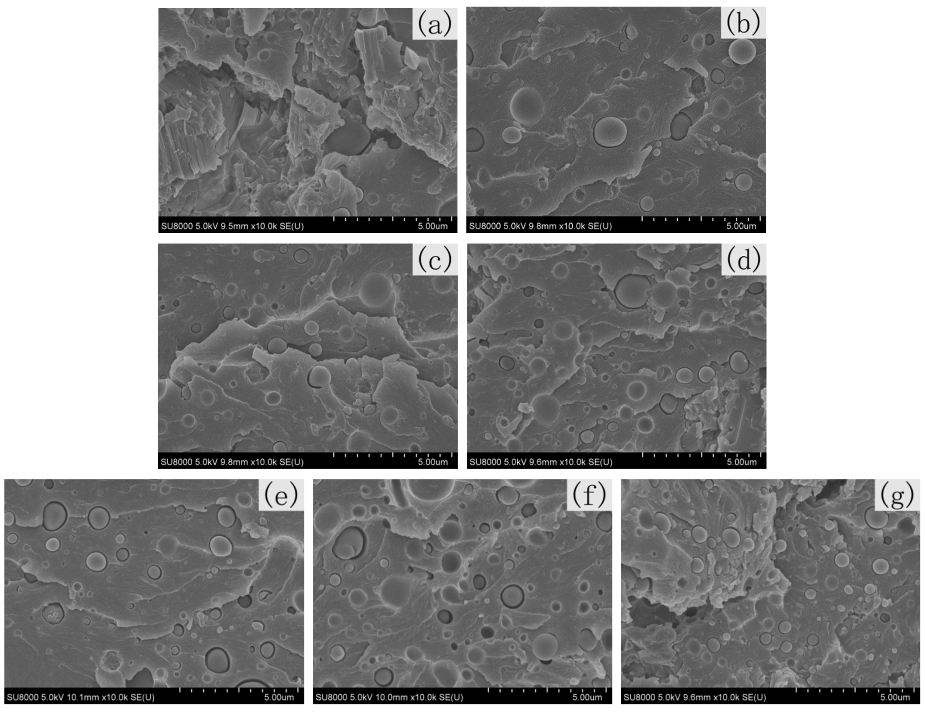 Polymers 13 02858 g008