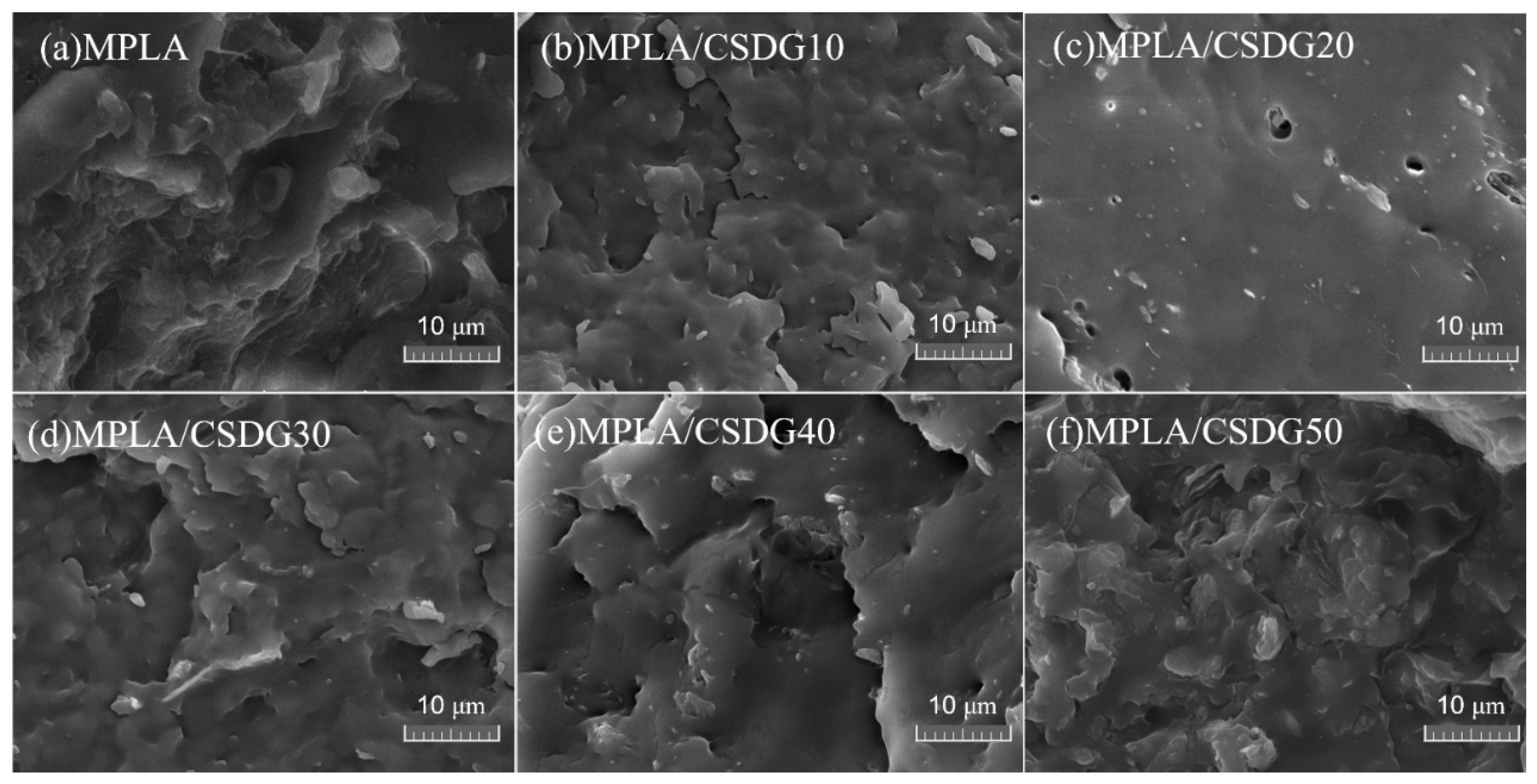 Polymers 13 02861 g005
