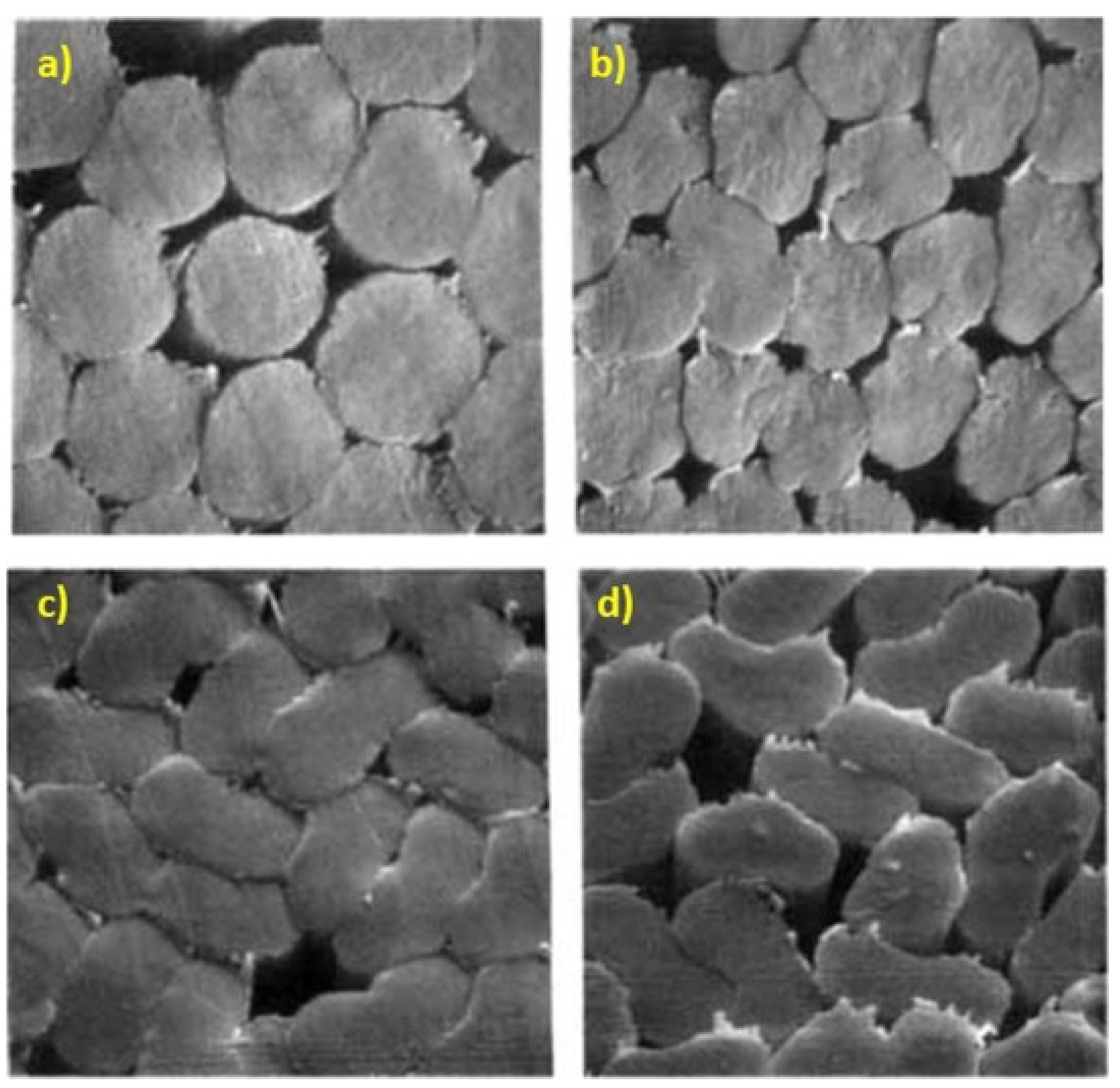 Polymers 13 02863 g003 Polymers 13 02863 g003