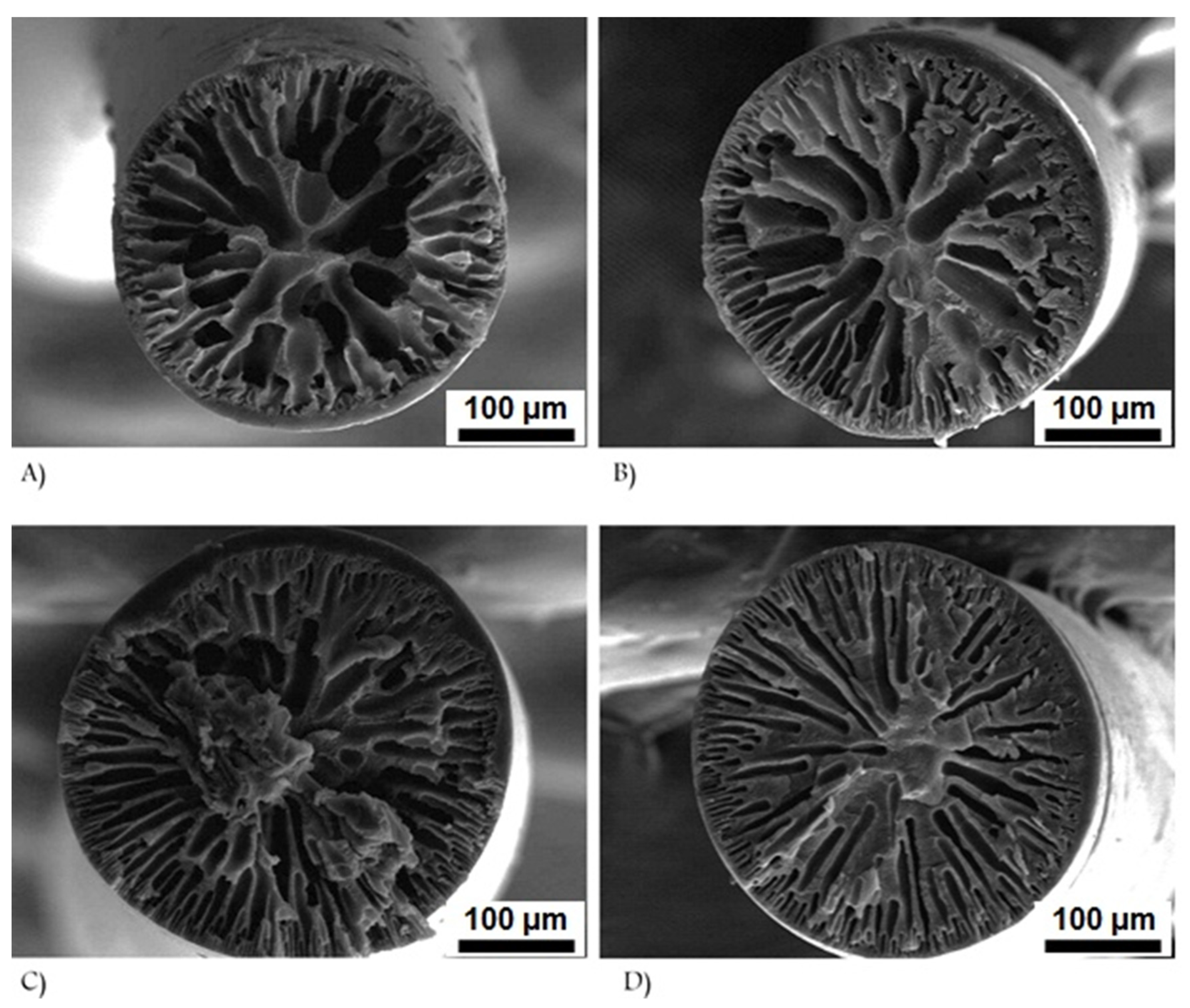 Polymers 13 02863 g004 Polymers 13 02863 g004