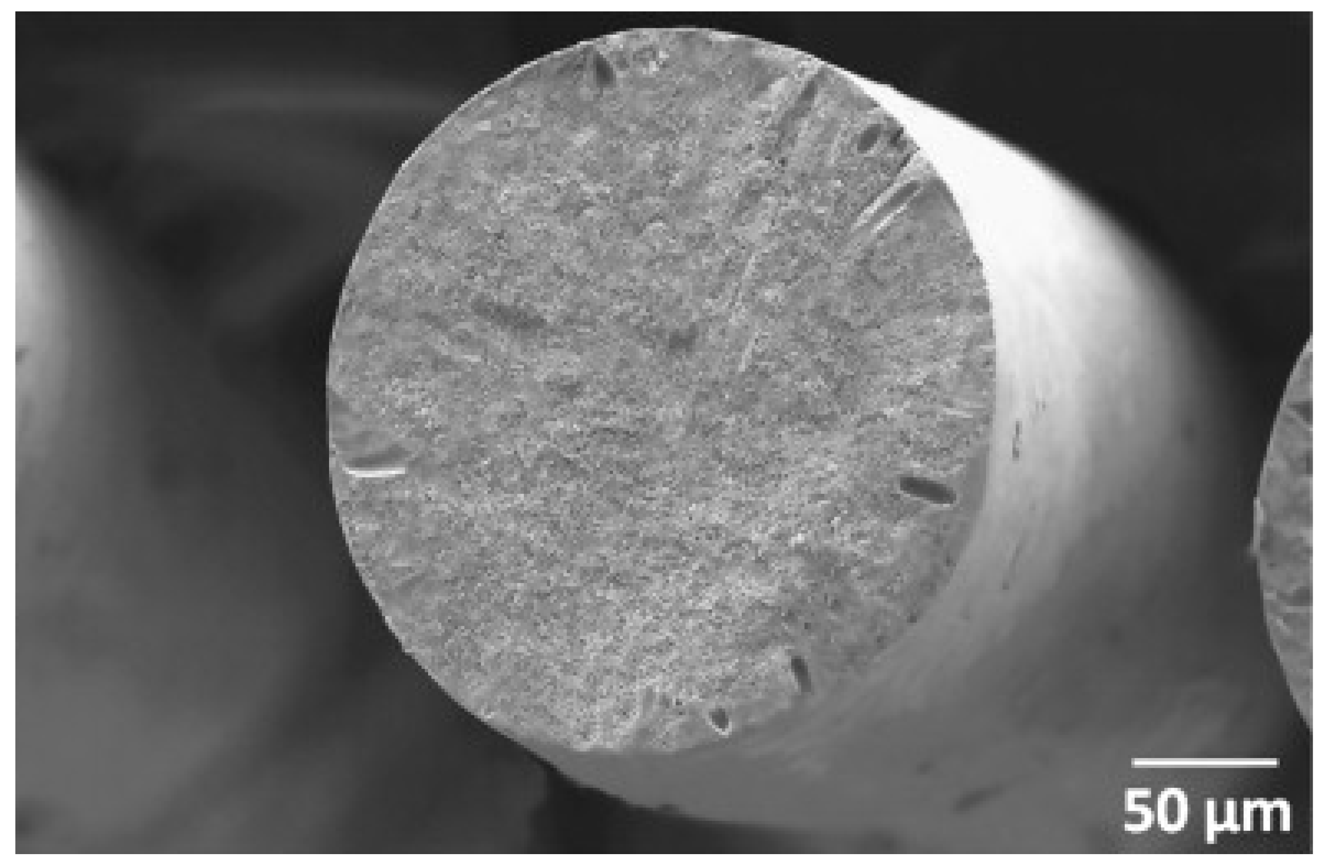 Polymers 13 02863 g007 Polymers 13 02863 g007