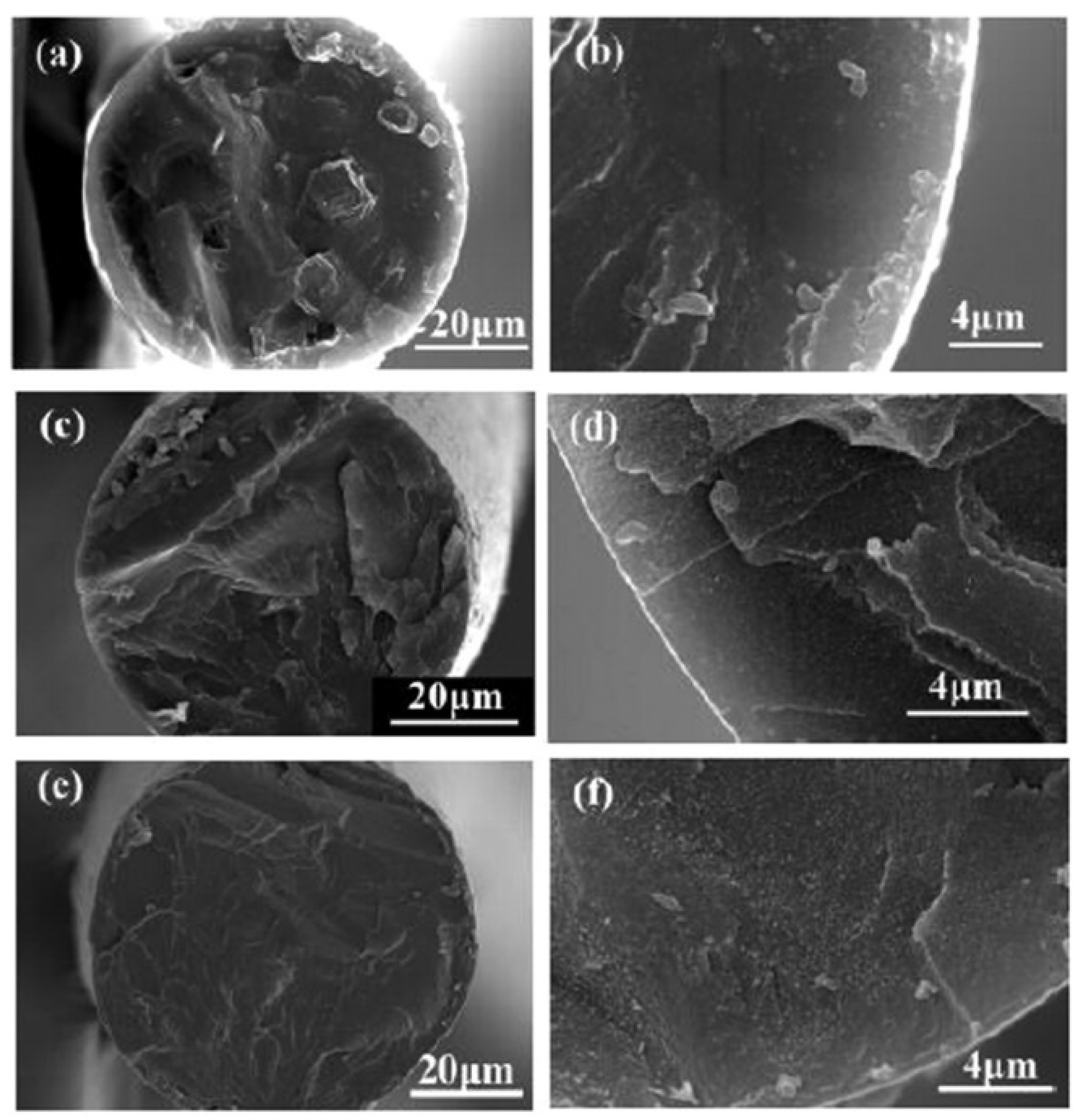 Polymers 13 02863 g012 Polymers 13 02863 g012