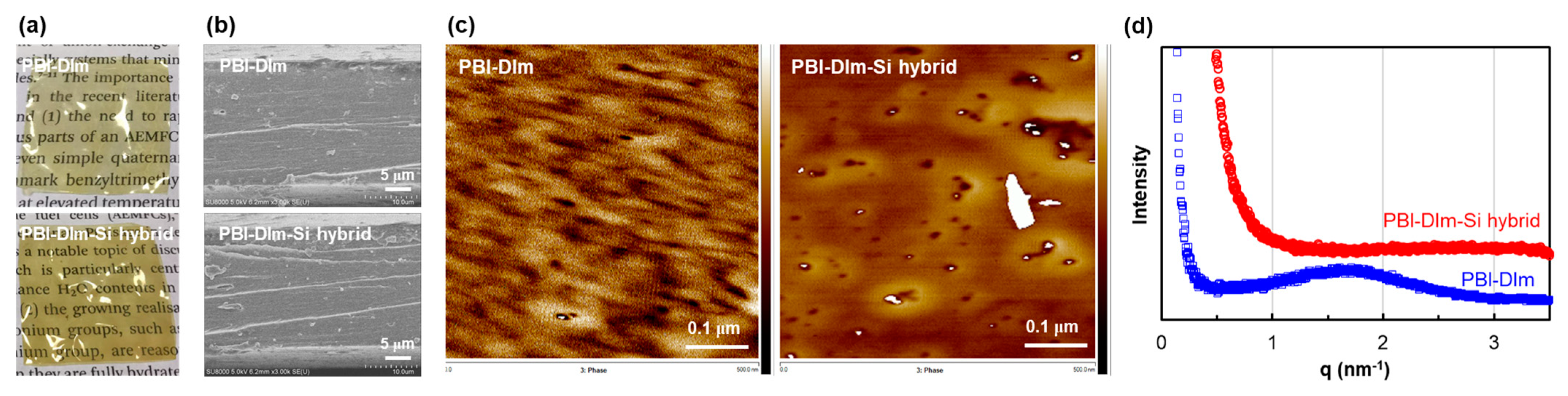 Polymers 13 02864 g004