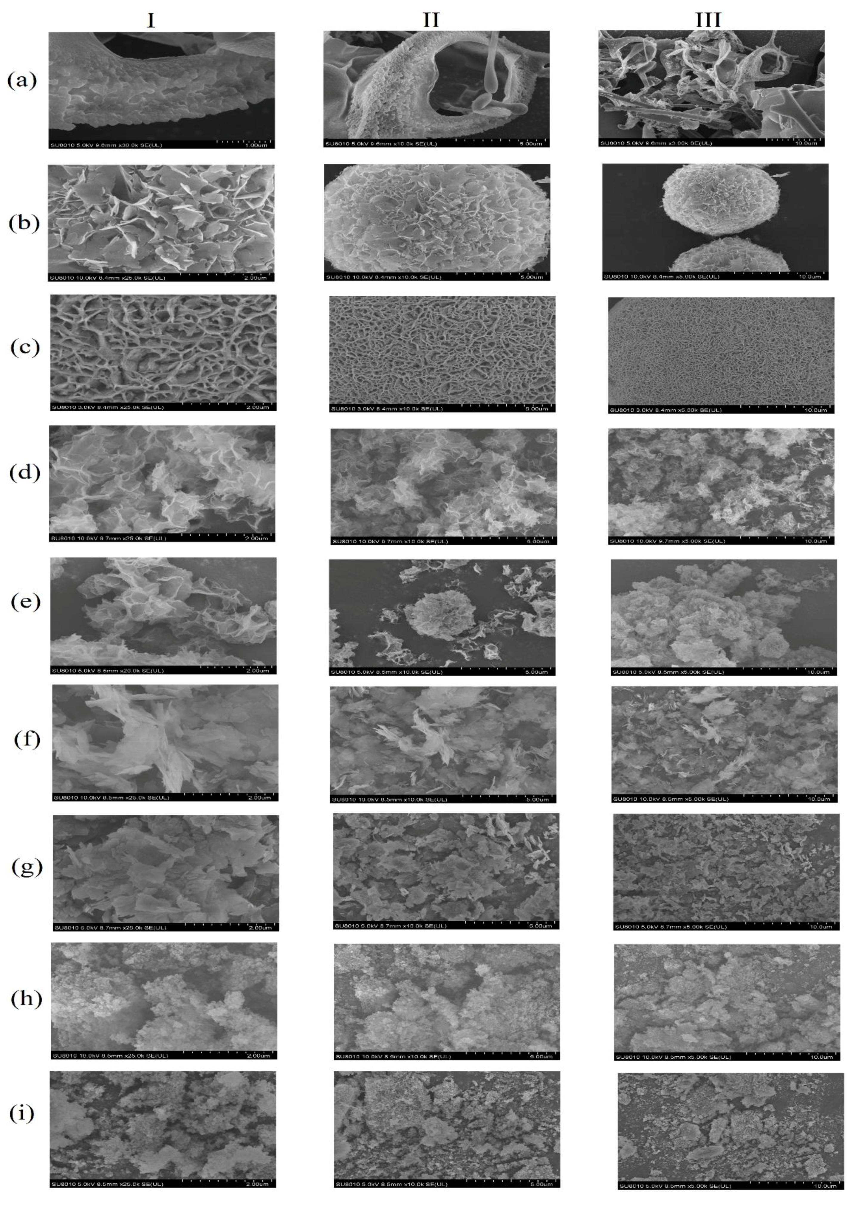 Polymers 13 02865 g001