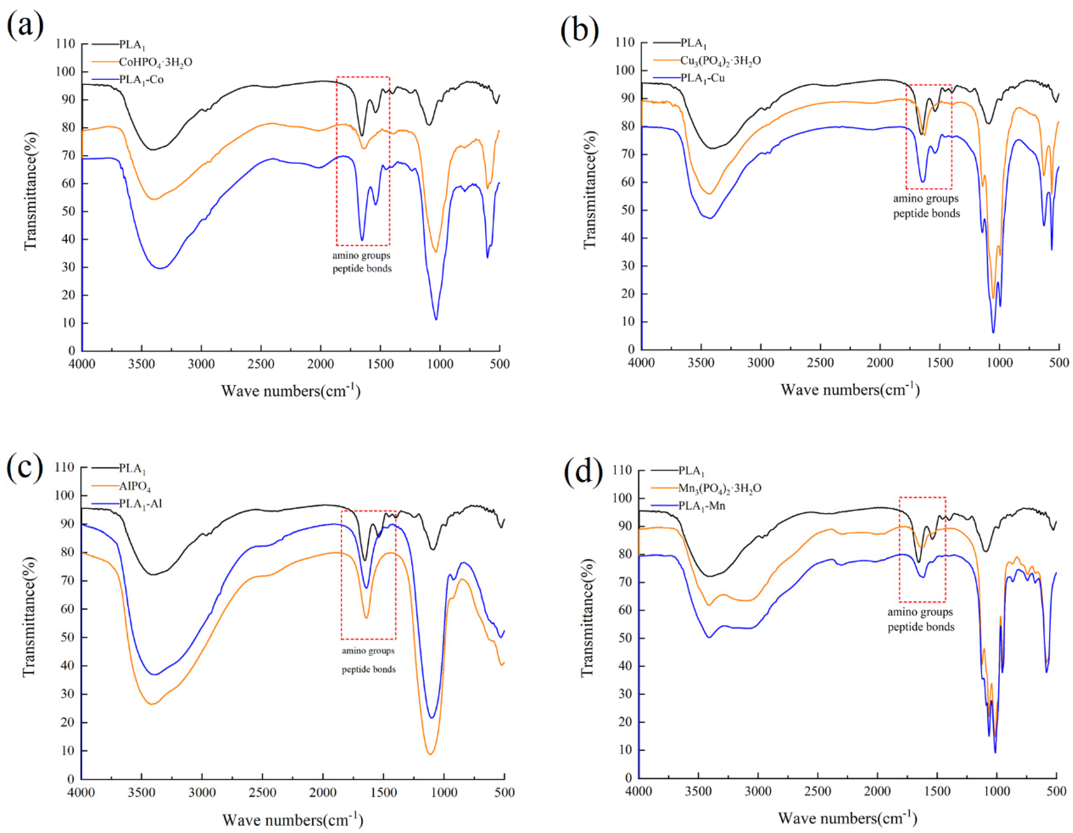 Polymers 13 02865 g002