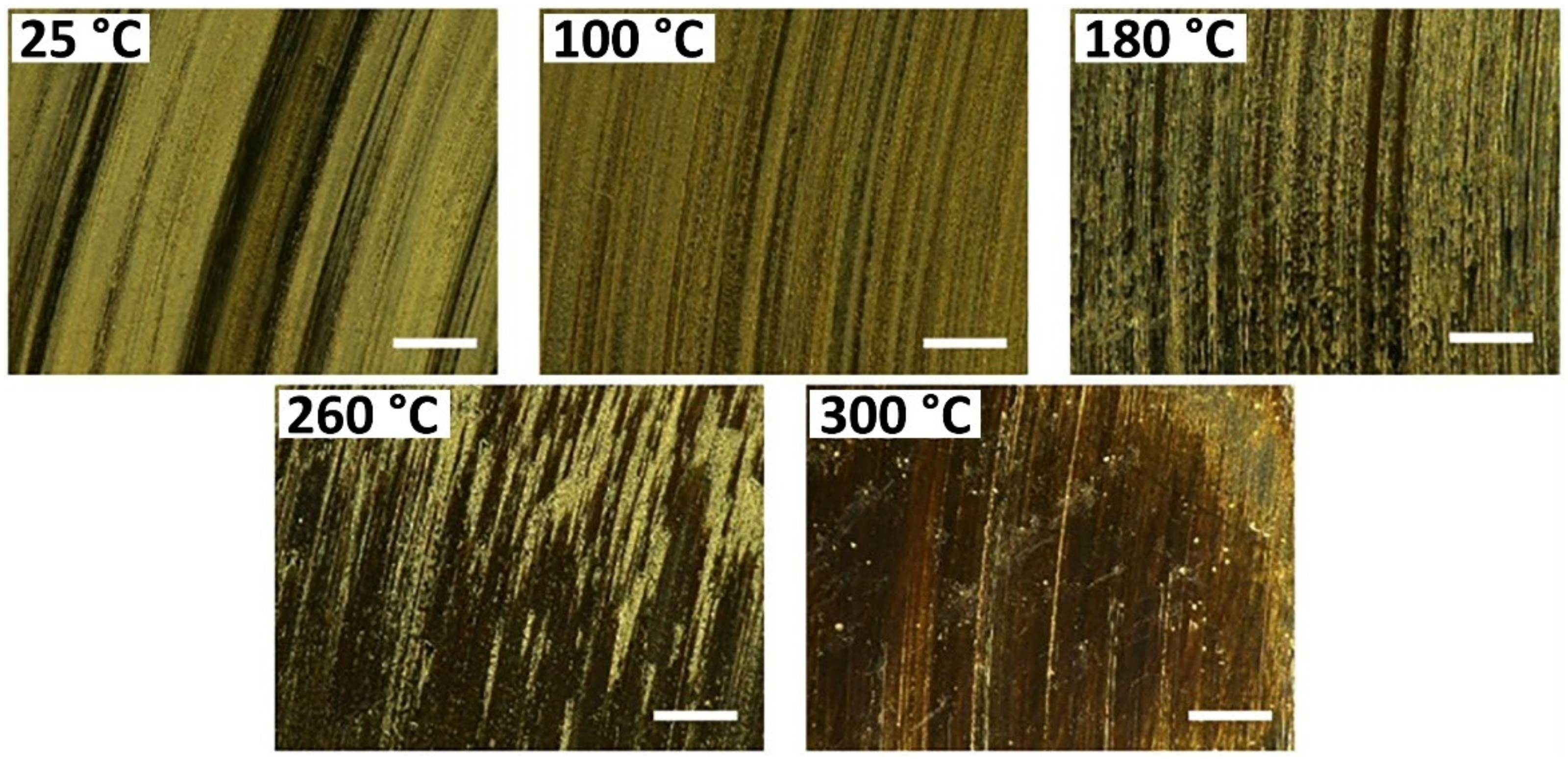 Polymers 13 02867 g004