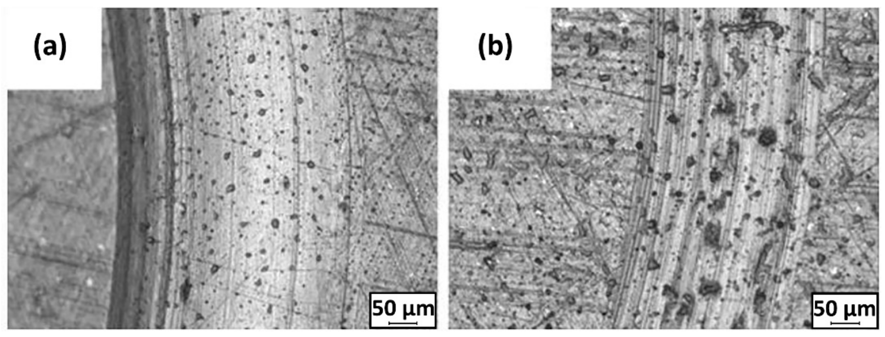 Polymers 13 02867 g006