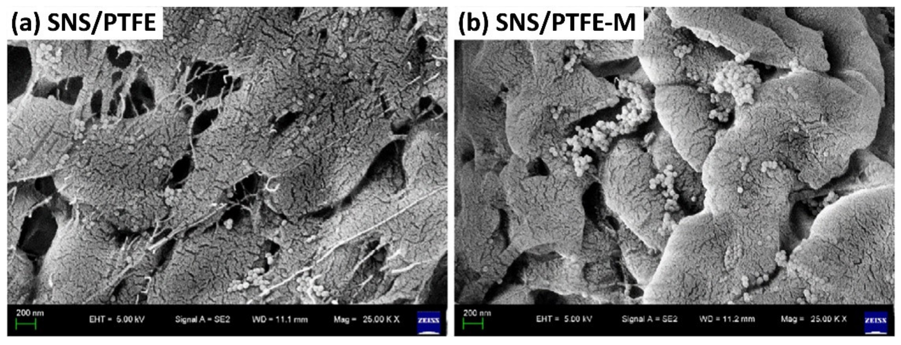 Polymers 13 02867 g008