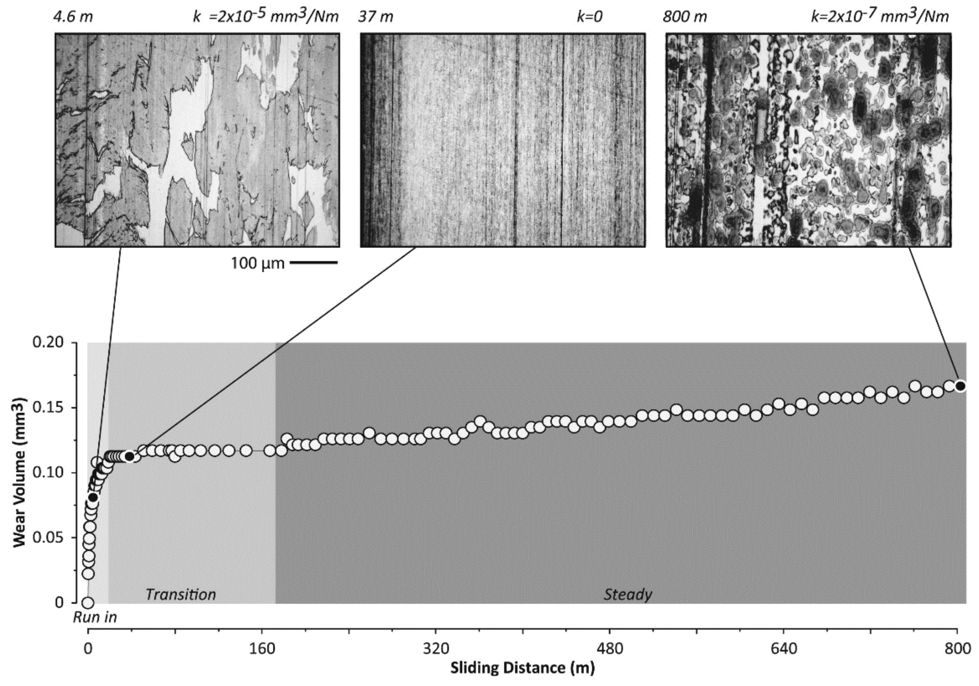 Polymers 13 02867 g009