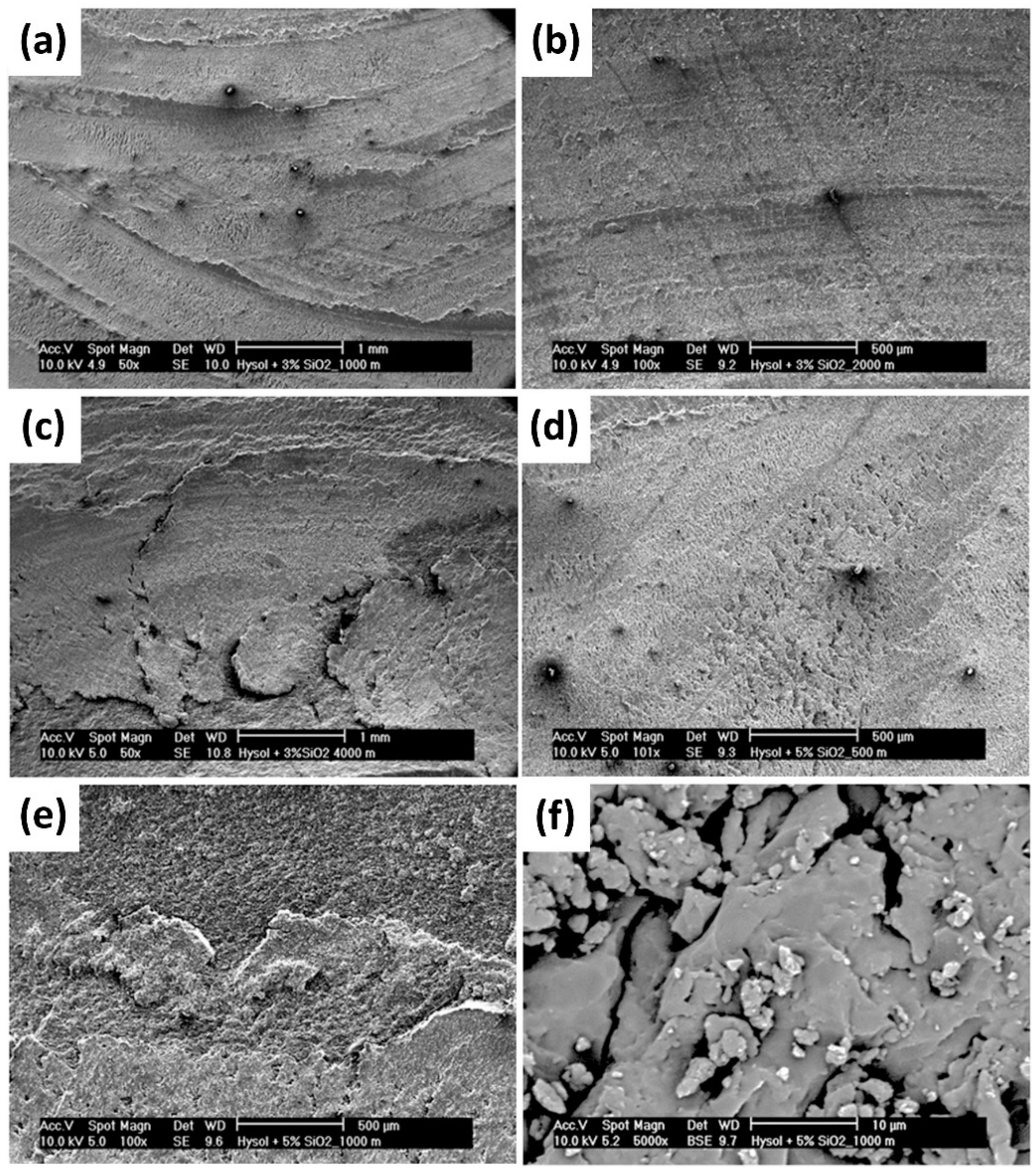 Polymers 13 02867 g011