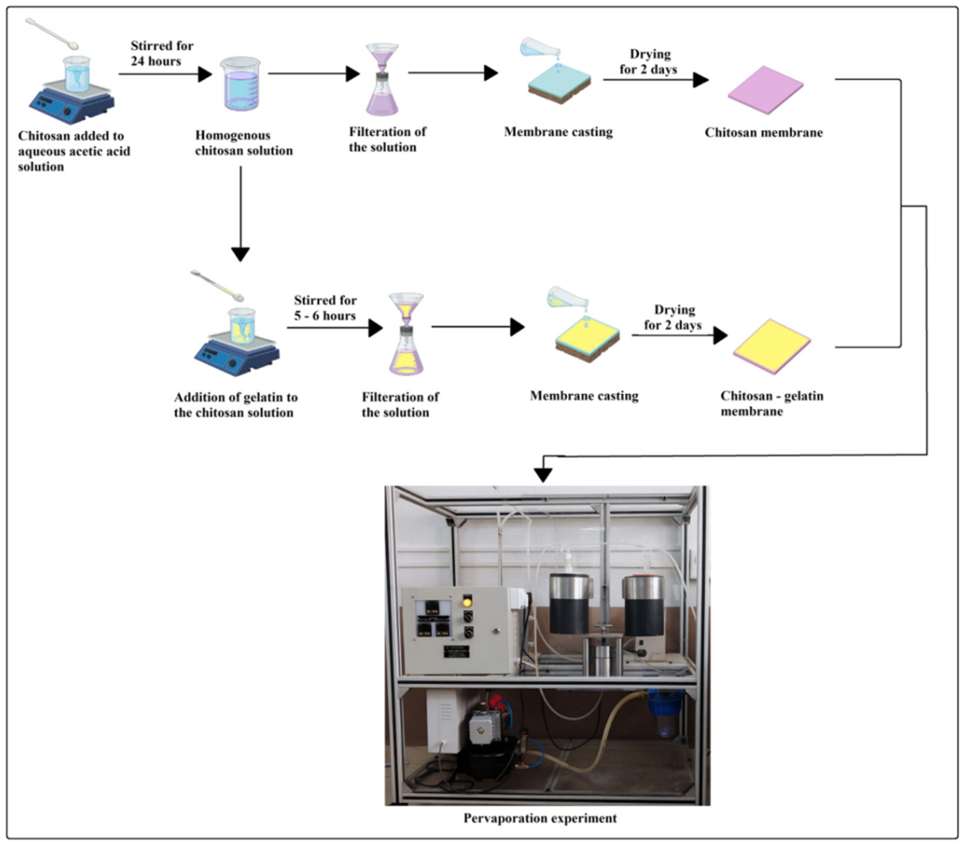 Polymers 13 02868 g001