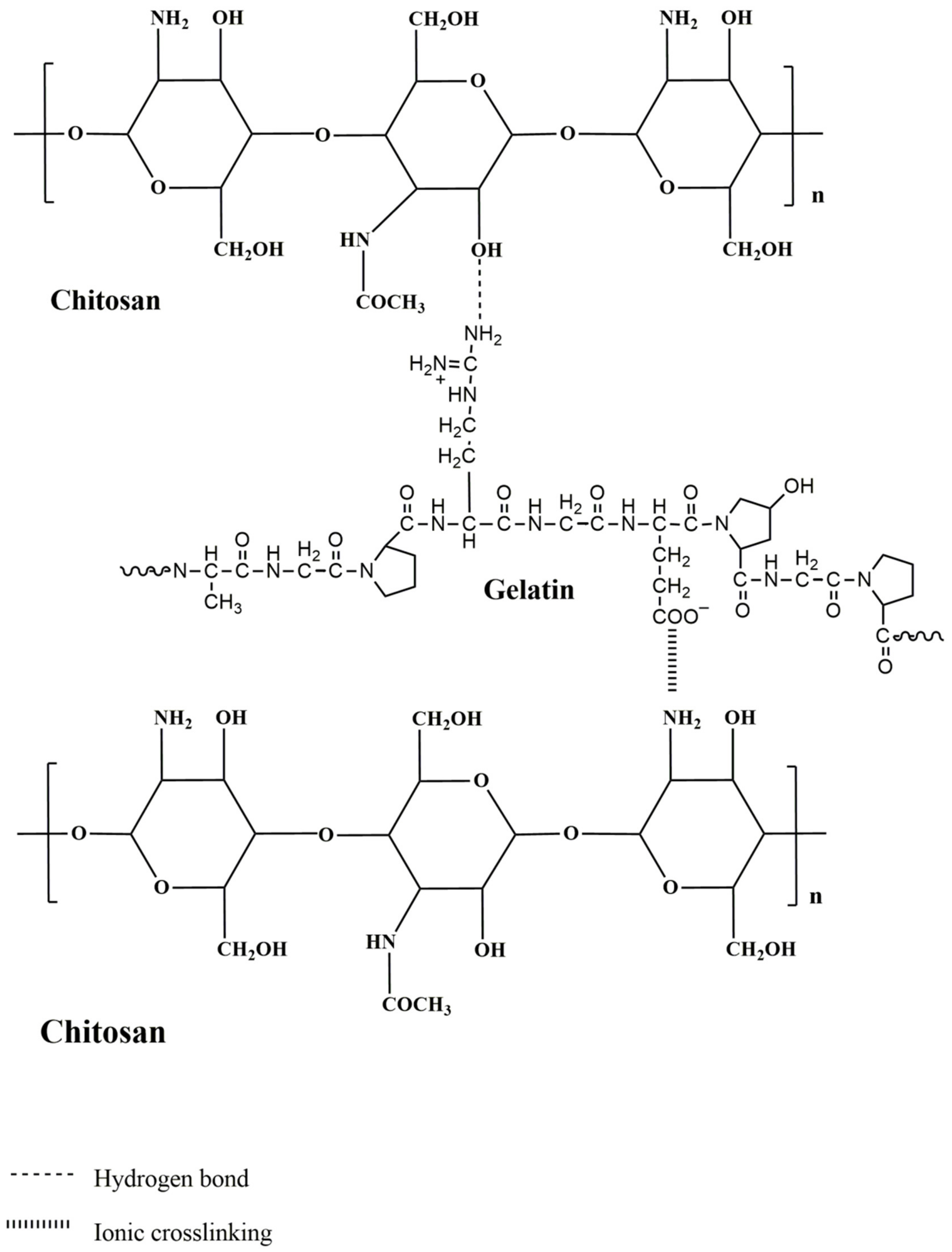 Polymers 13 02868 g004
