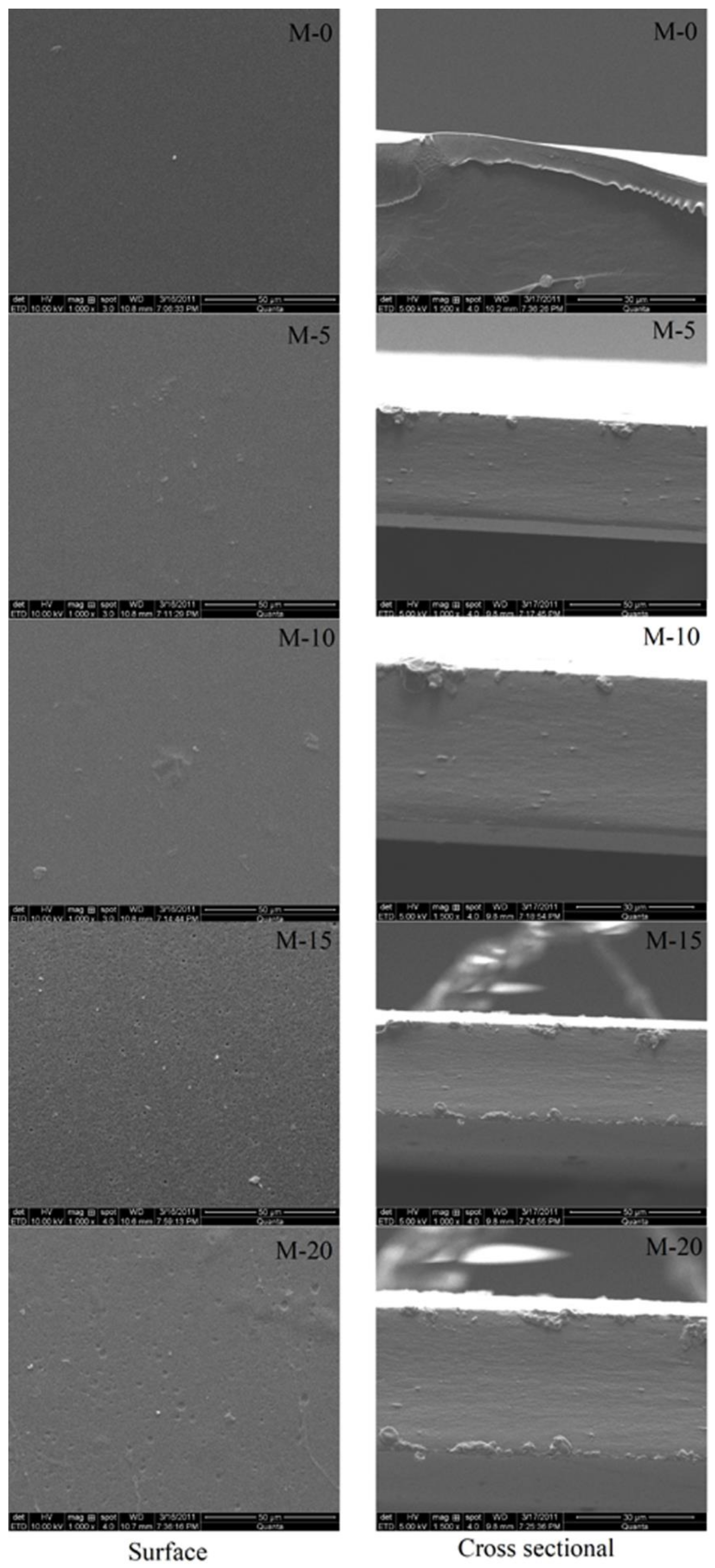 Polymers 13 02868 g008