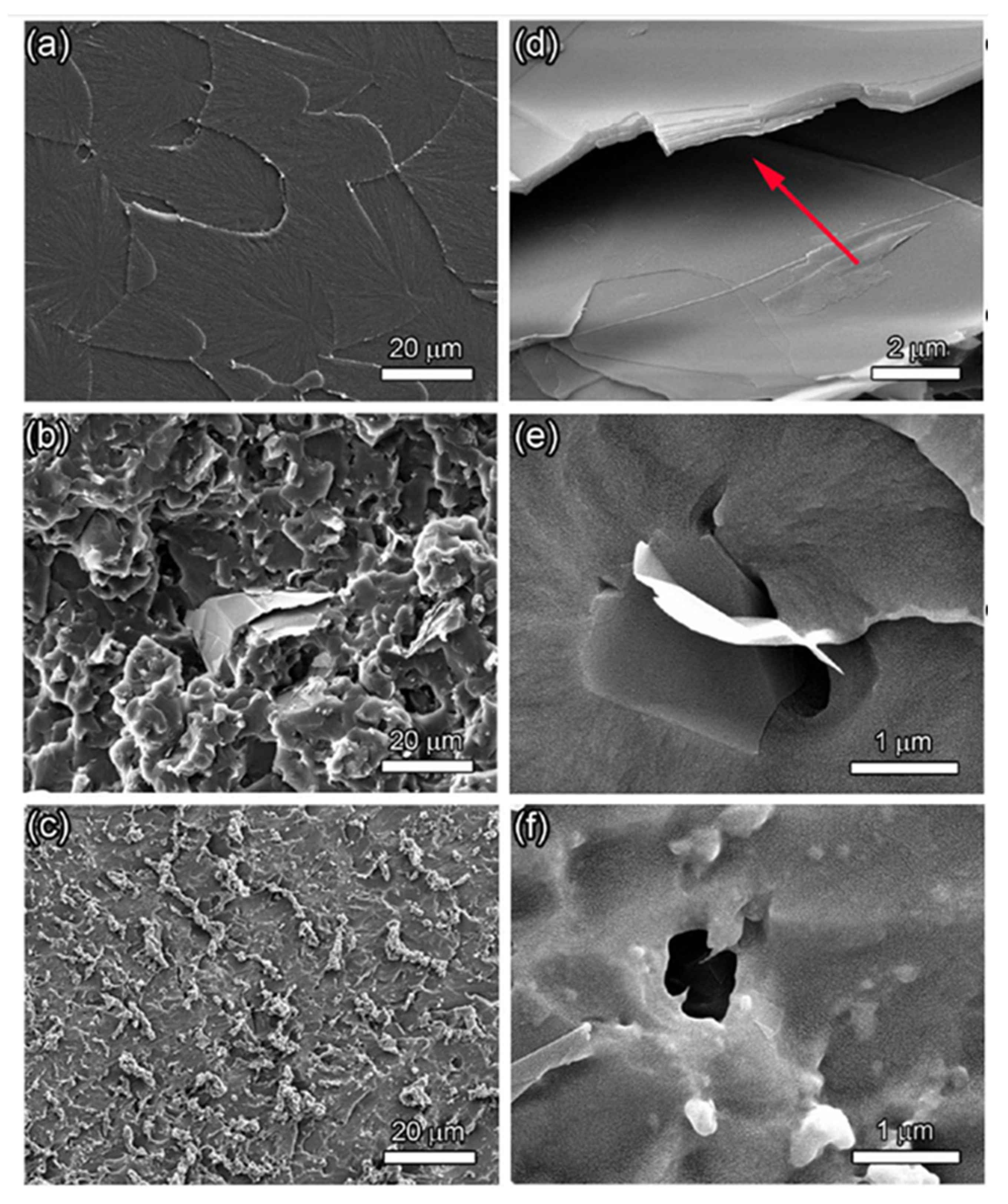 Polymers 13 02869 g011