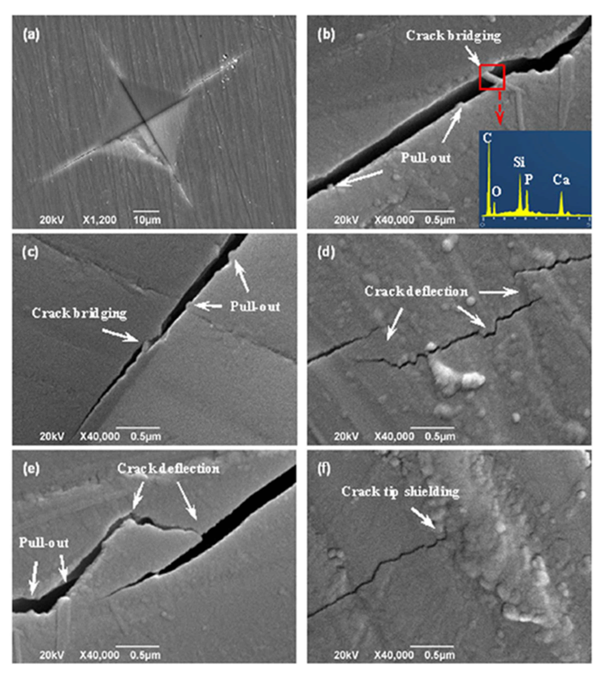 Polymers 13 02869 g018