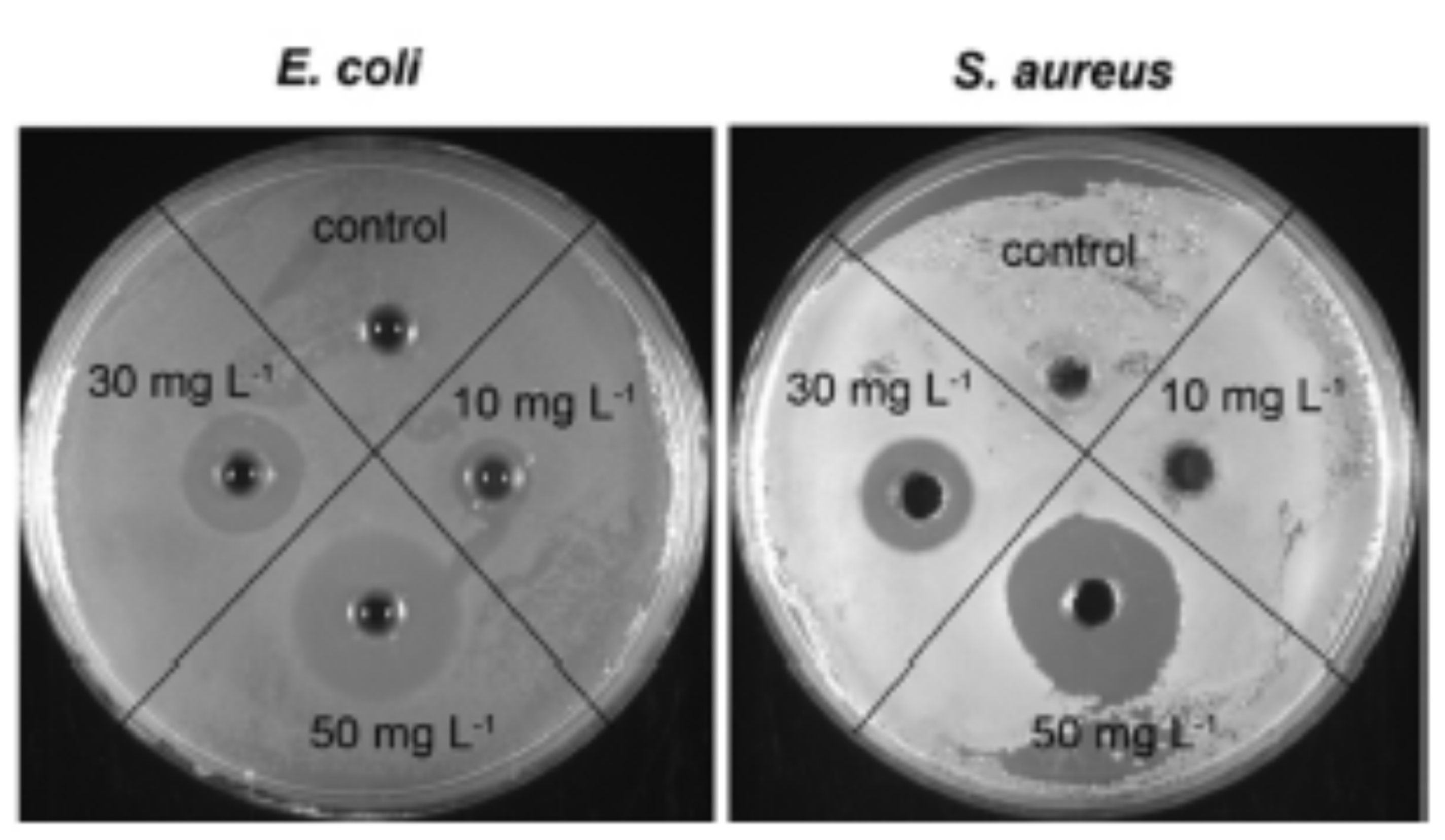 Polymers 13 02870 g004