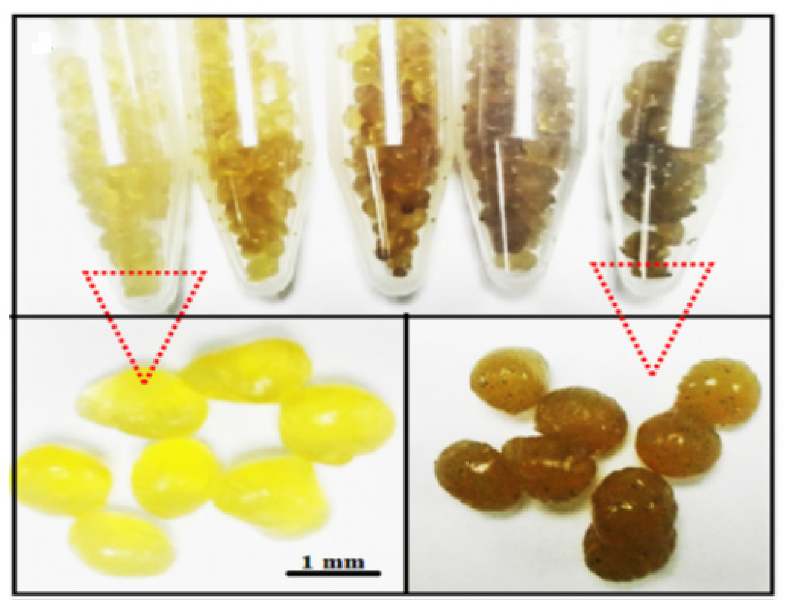 Polymers 13 02870 g007