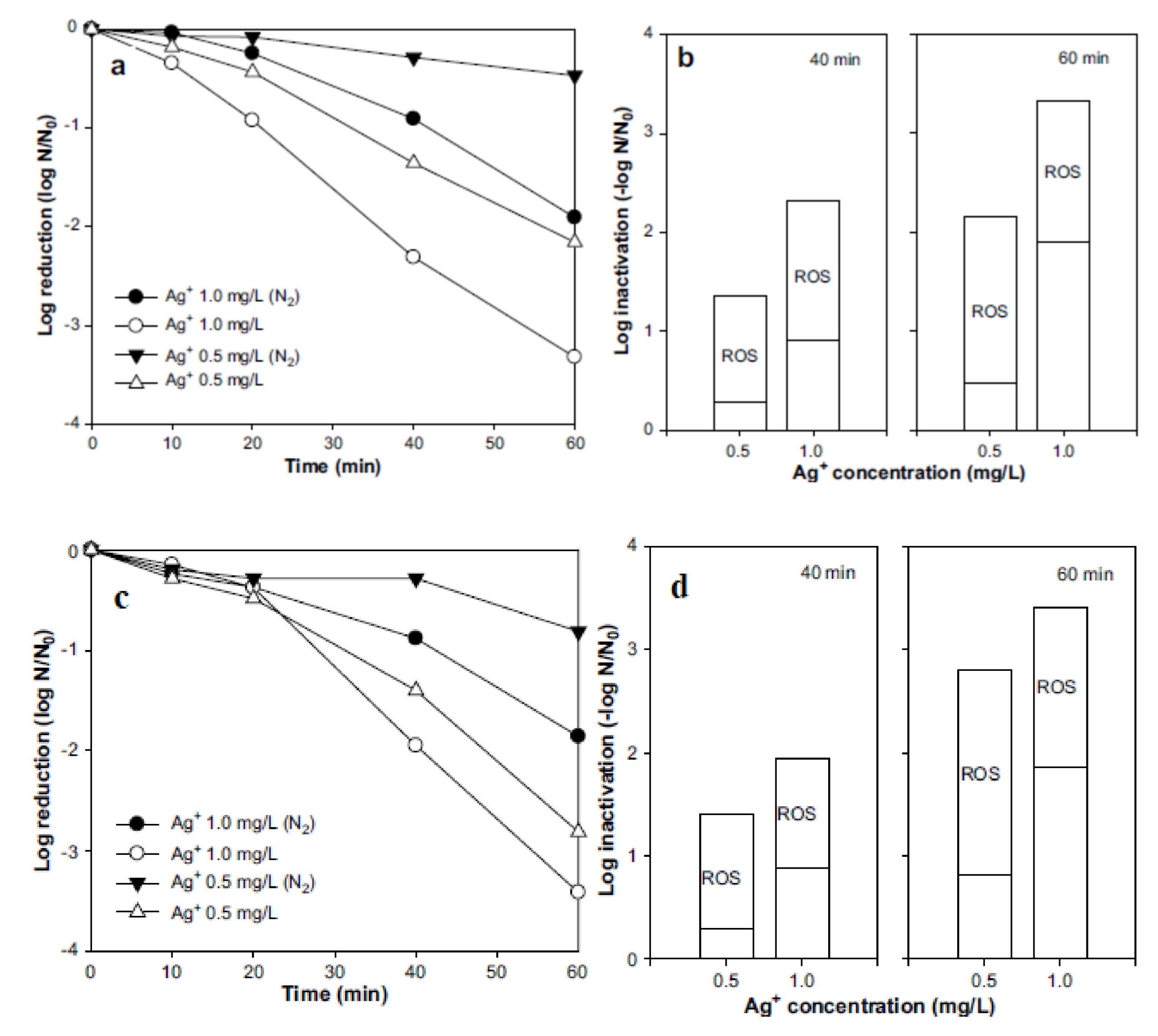 Polymers 13 02870 g012