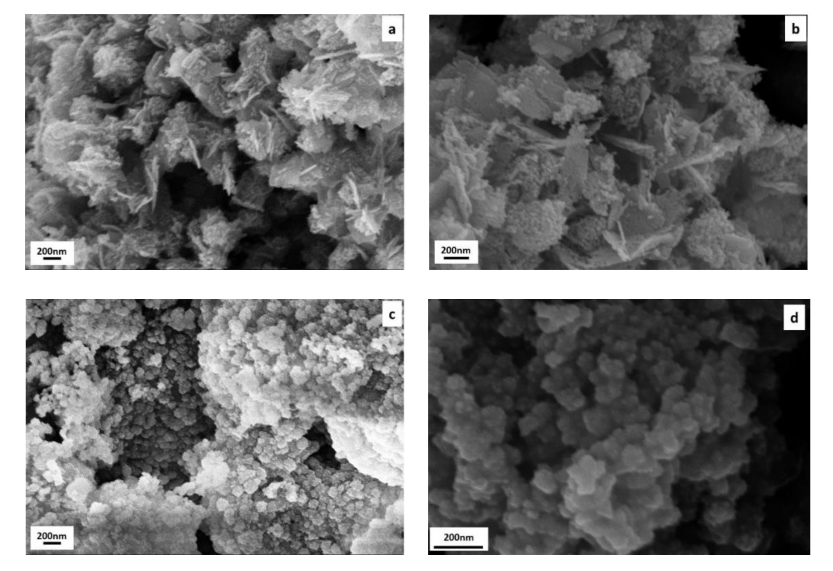 Polymers 13 02871 g002
