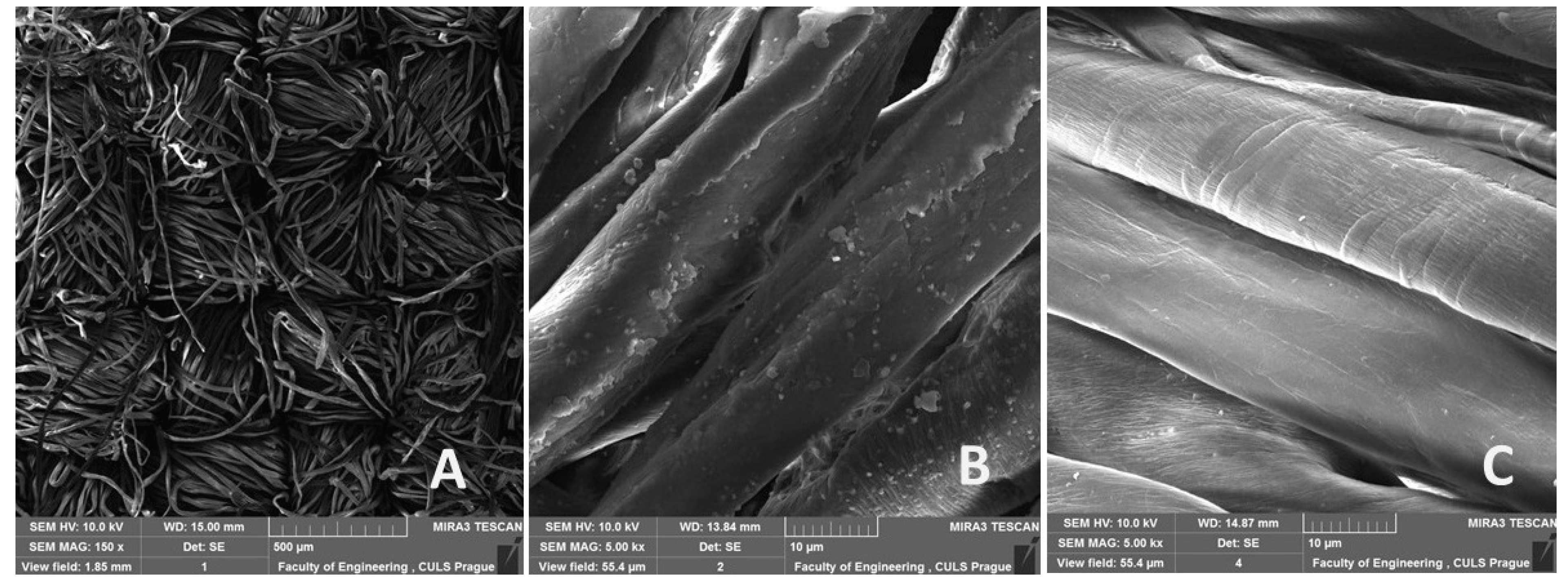 Polymers 13 02872 g010