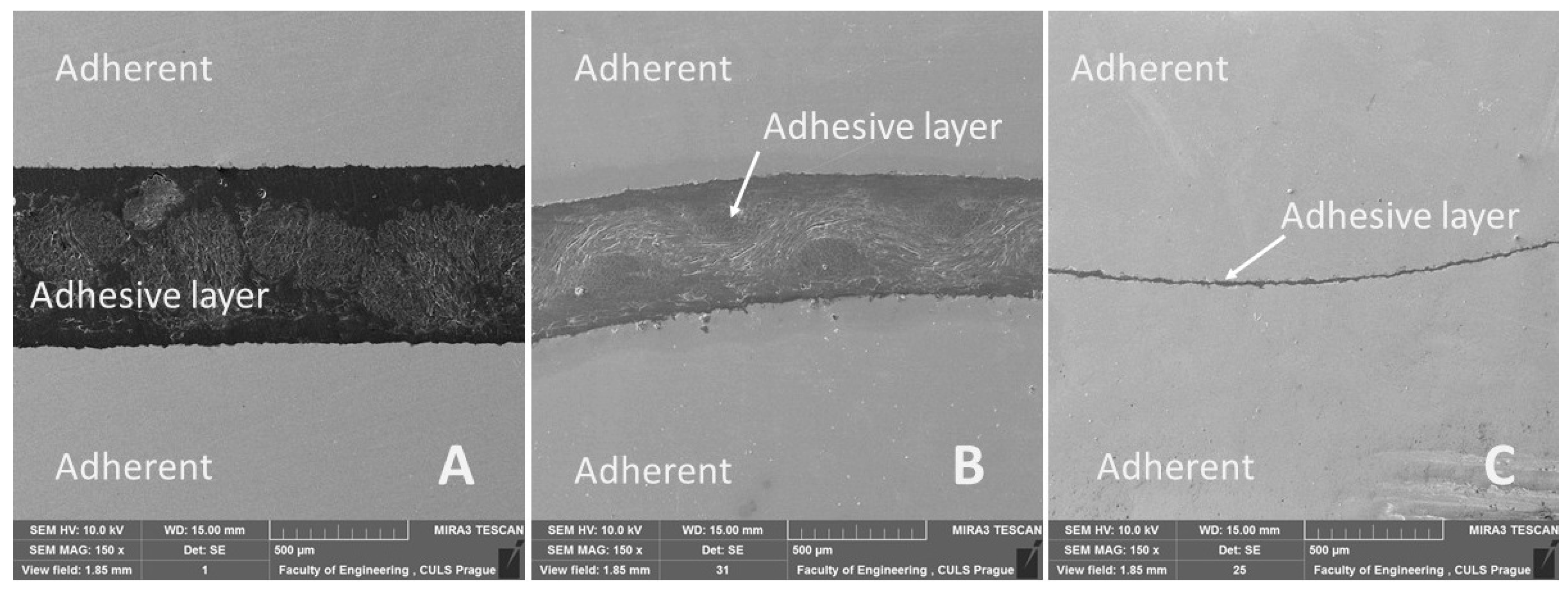 Polymers 13 02872 g011