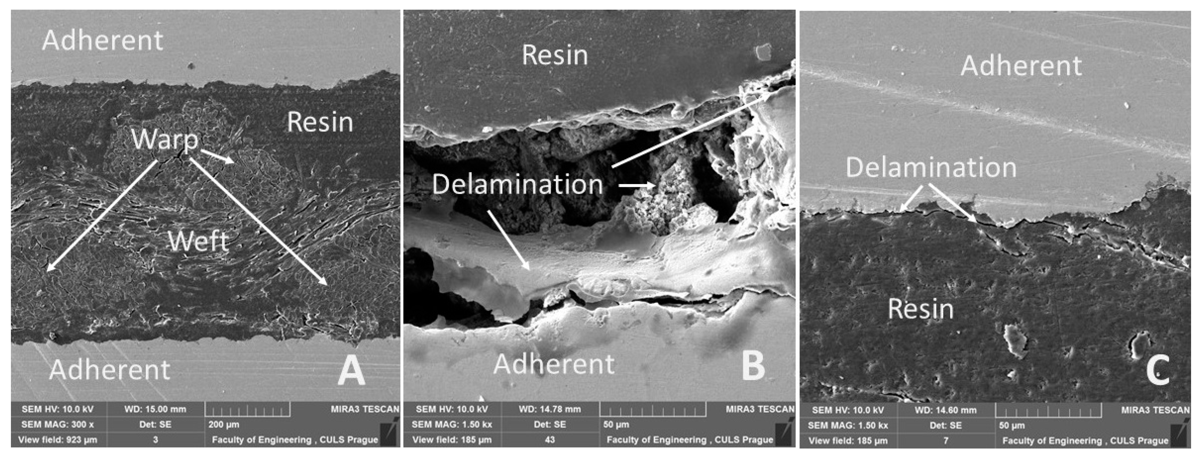 Polymers 13 02872 g012