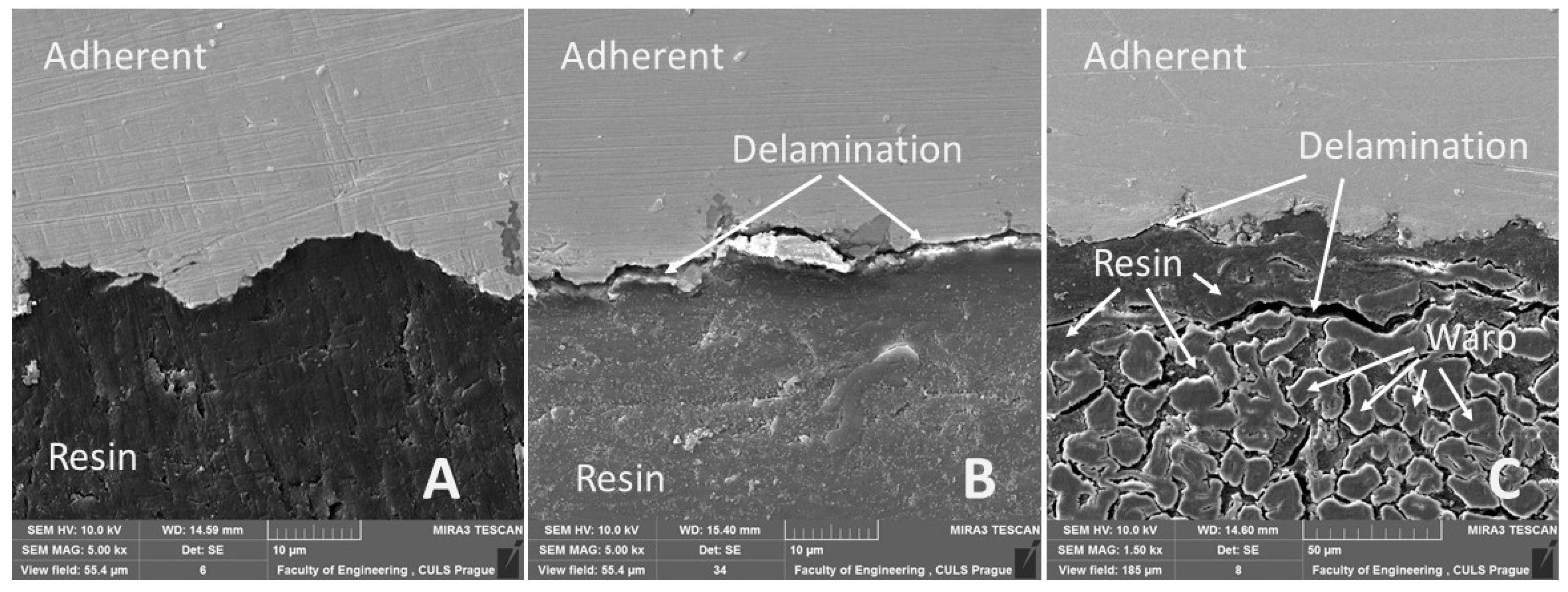 Polymers 13 02872 g013