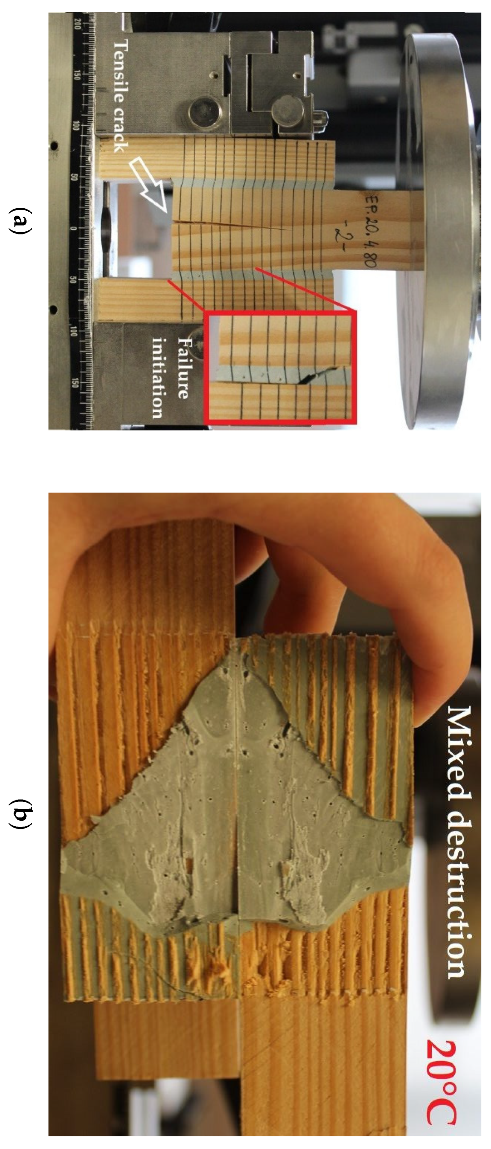 Polymers 13 02873 g010