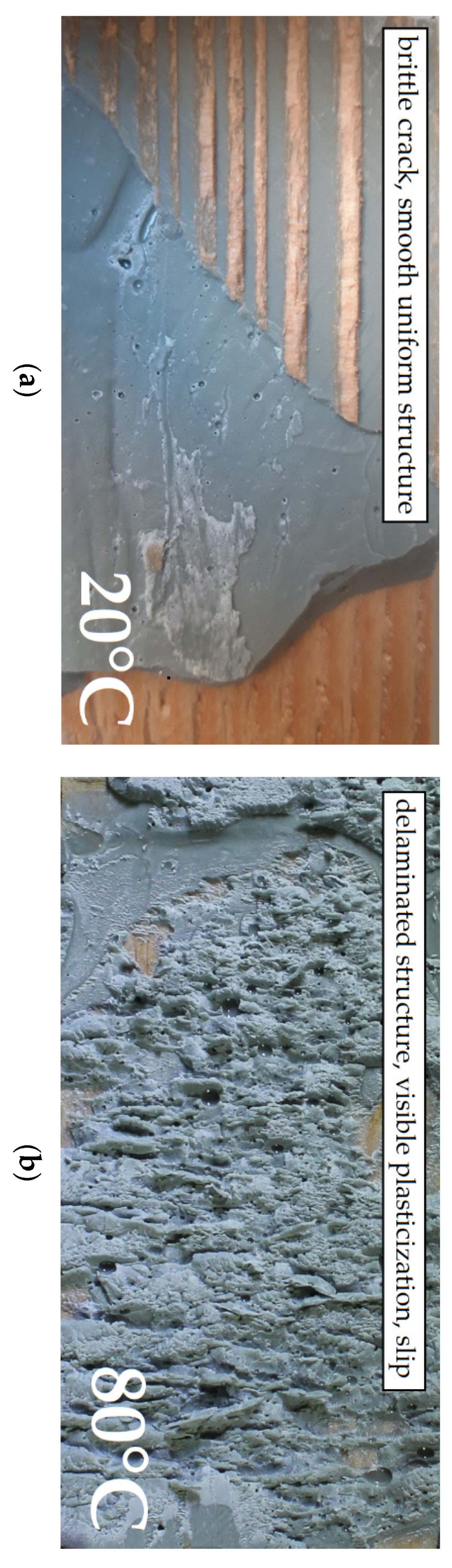 Polymers 13 02873 g014