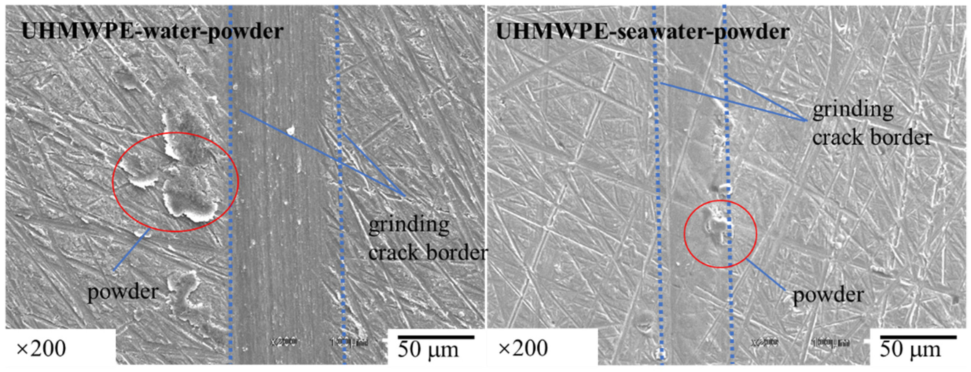 Polymers 13 02874 g006 Polymers 13 02874 g006