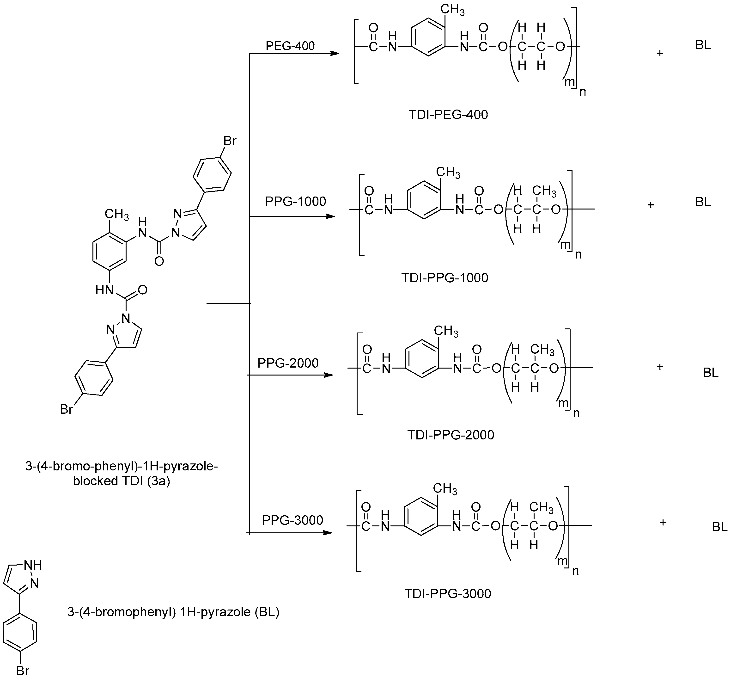 Polymers 13 02875 sch002 550