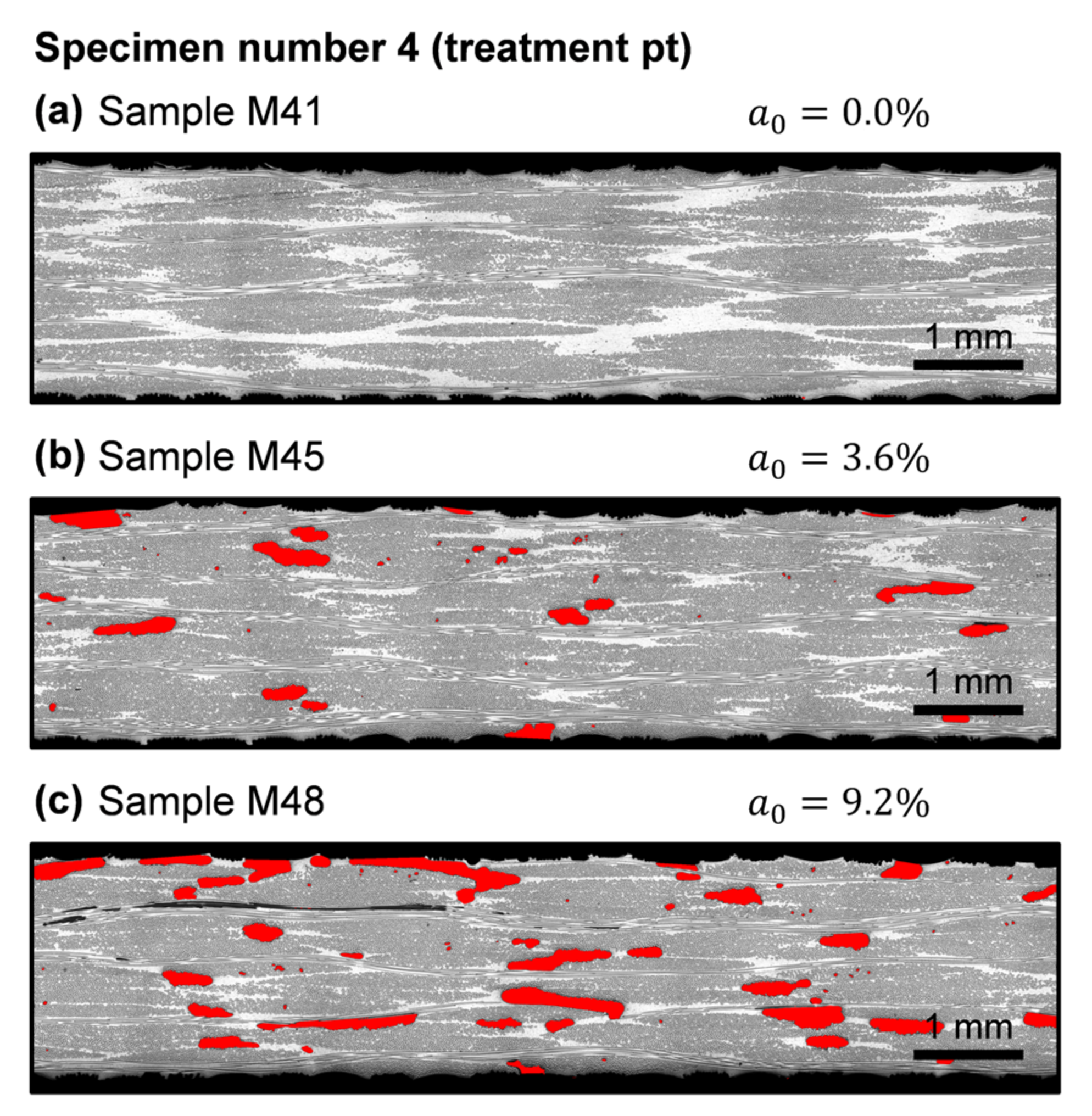 Polymers 13 02876 g009 550
