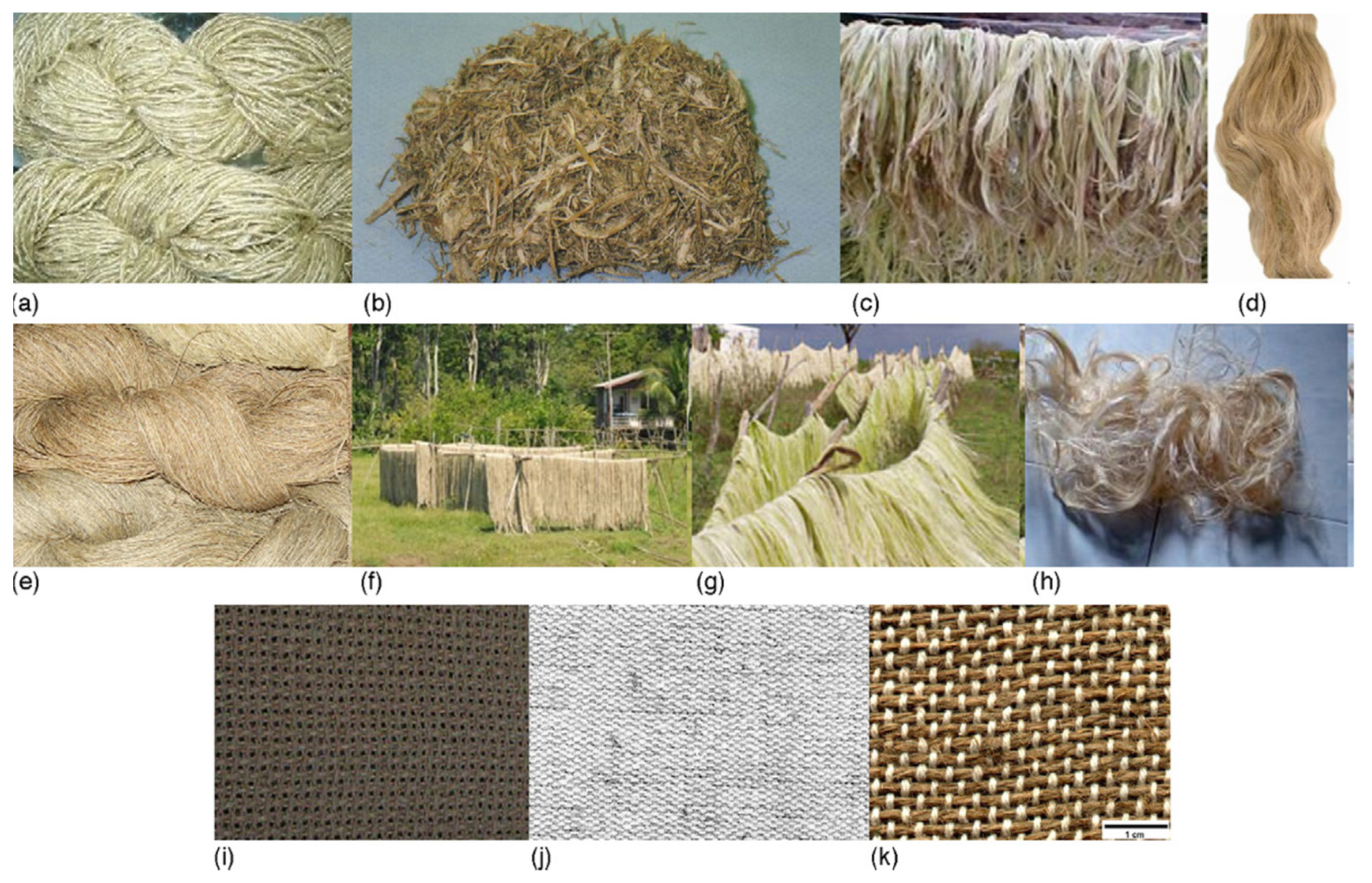 Polymers 13 02878 g003