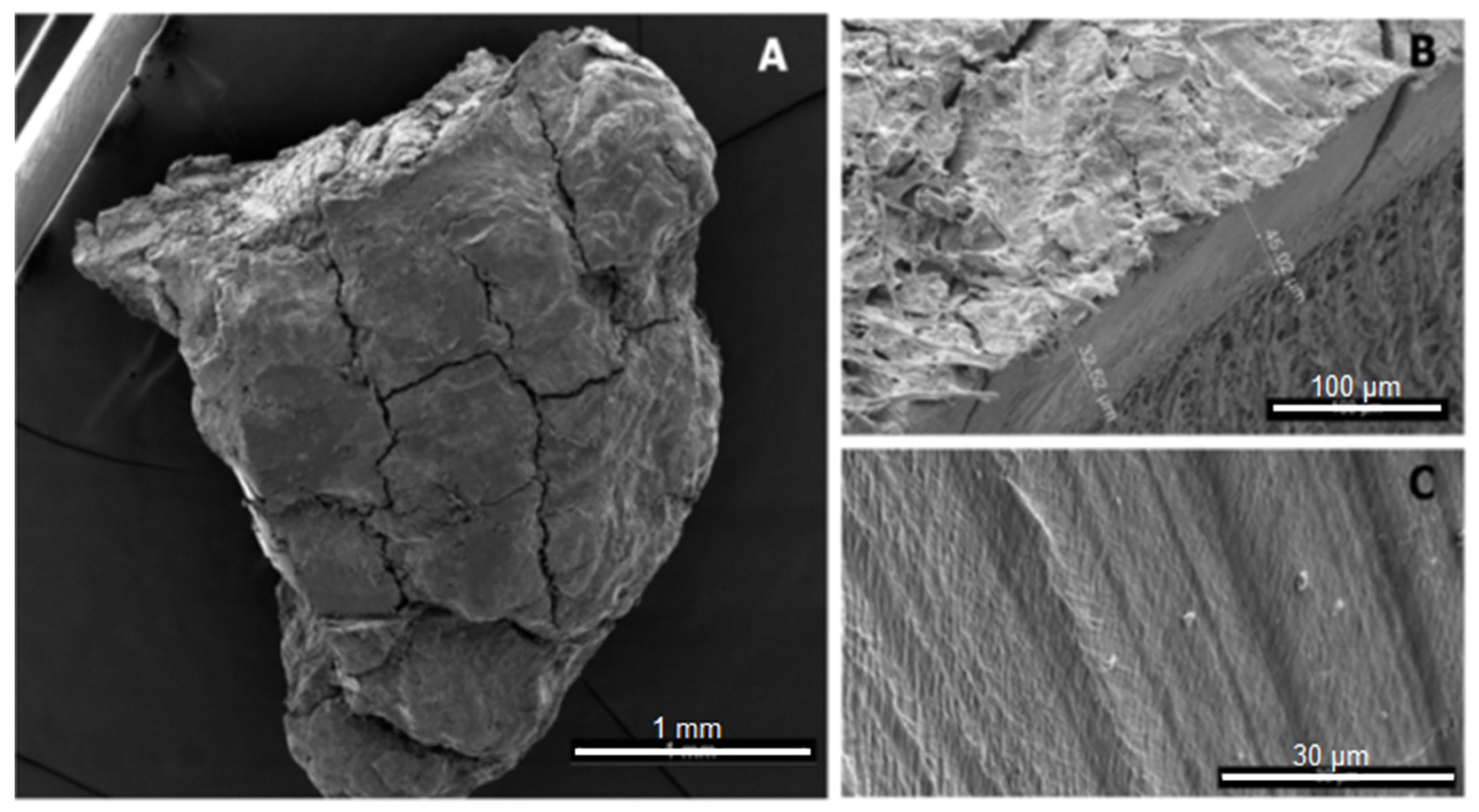 Polymers 13 02881 g001 Polymers 13 02881 g001