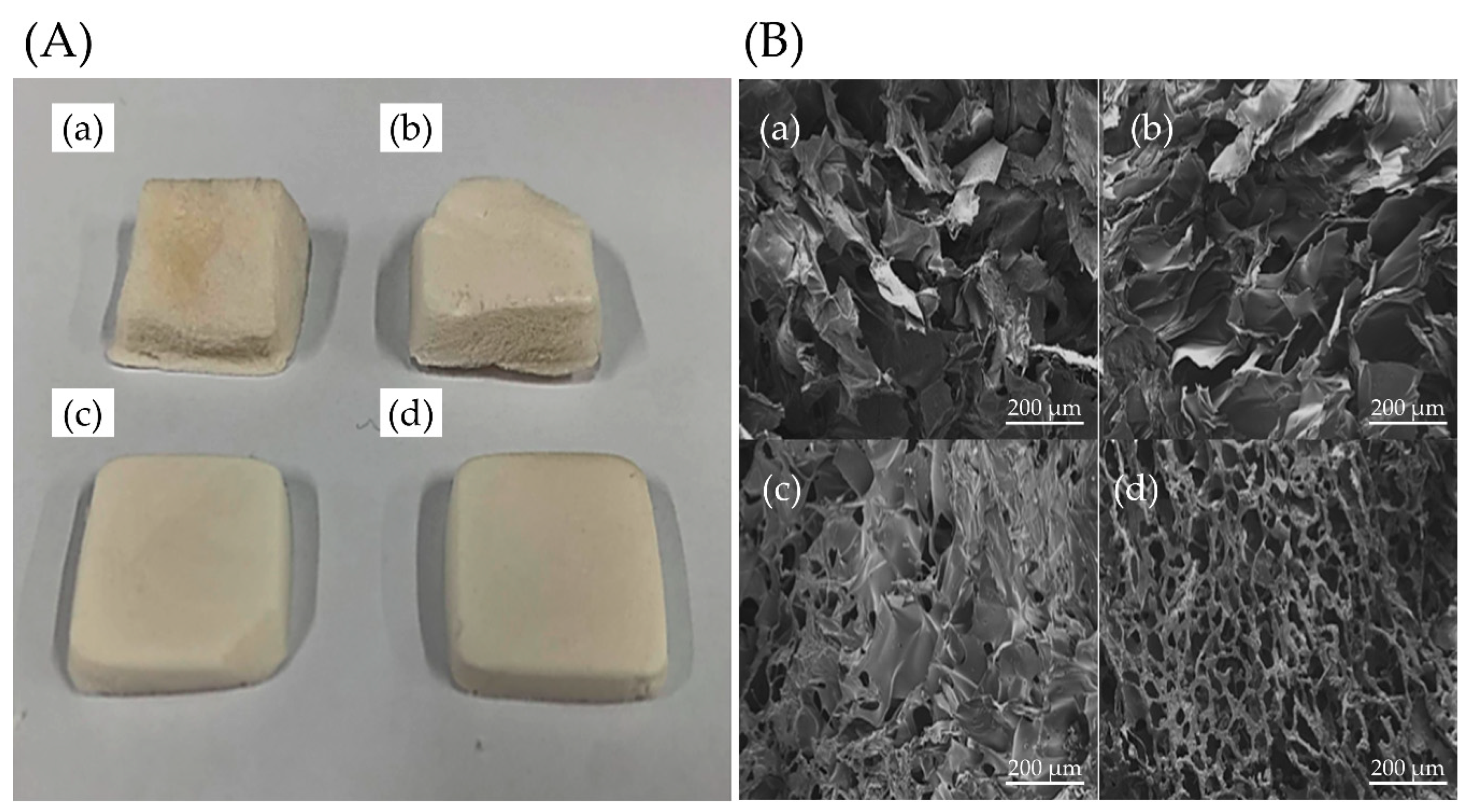 Polymers 13 02882 g002 Polymers 13 02882 g002