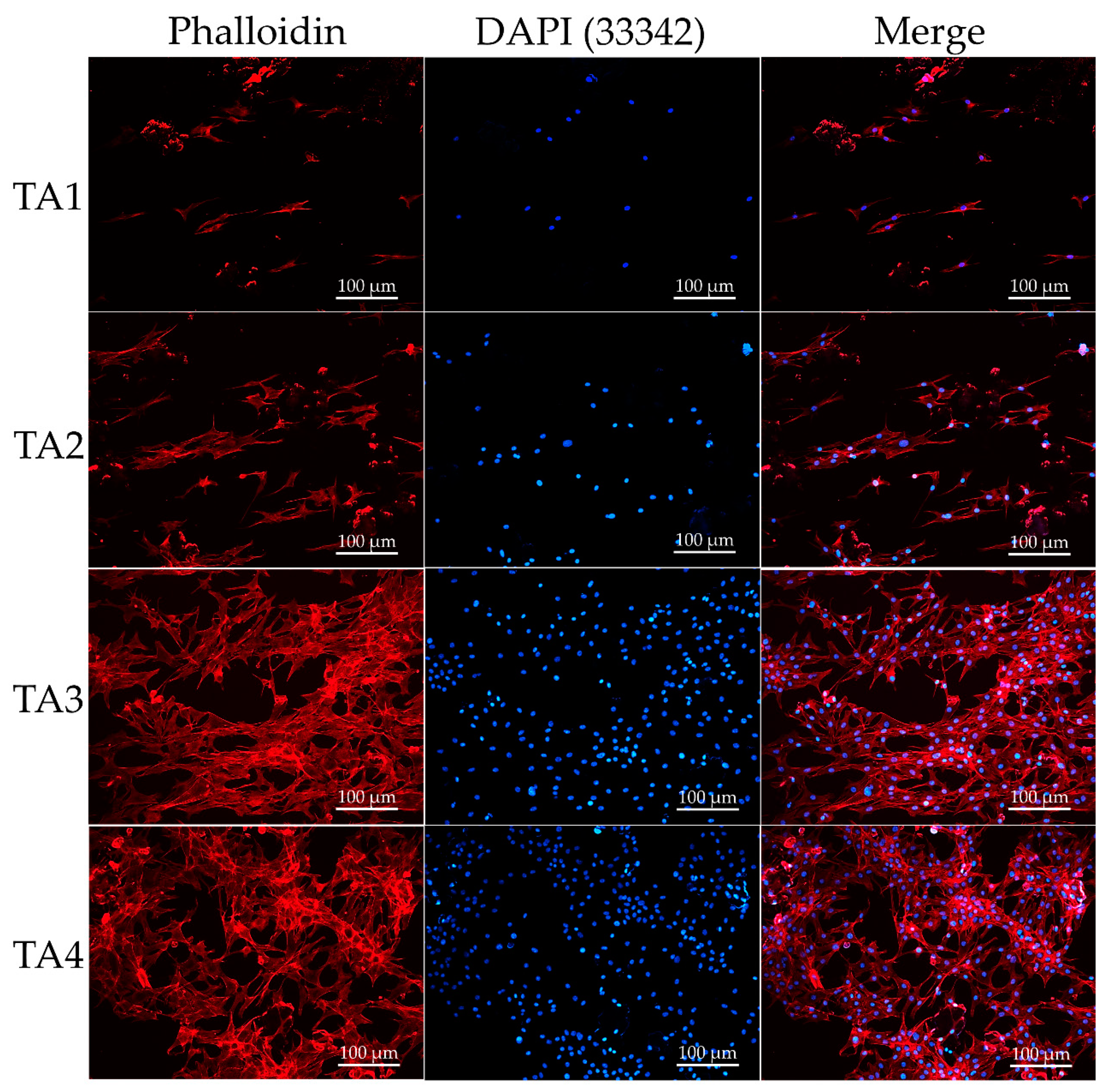 Polymers 13 02882 g004 Polymers 13 02882 g004