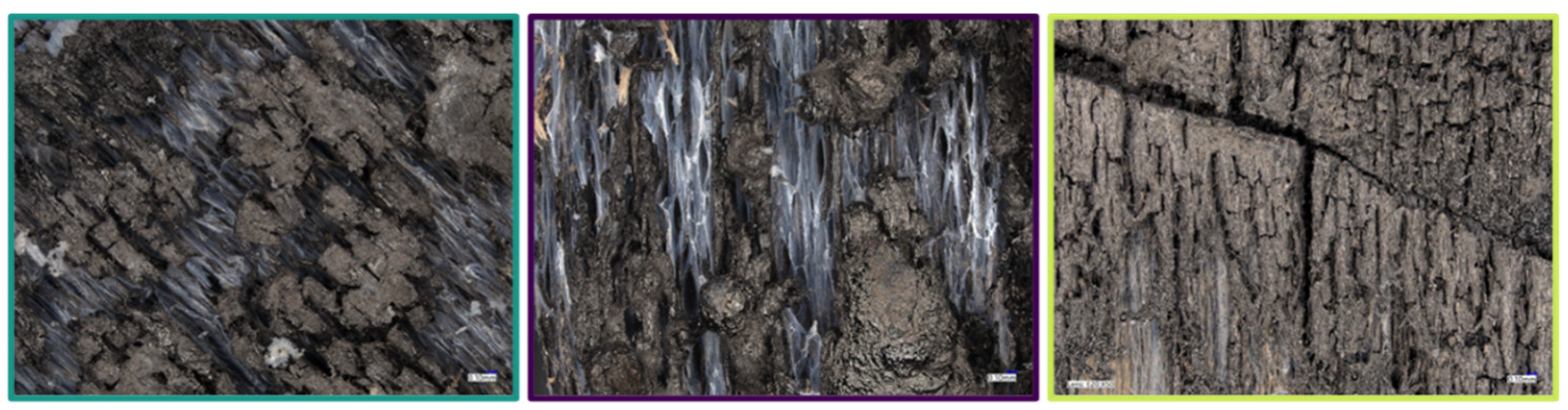 Polymers 13 02884 g010